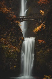 Alexandria Torrescano is our “Fall Vibes” theme micro-grant winner.