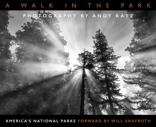&ldquo;A Walk in the Park&rdquo; By Andy Katz