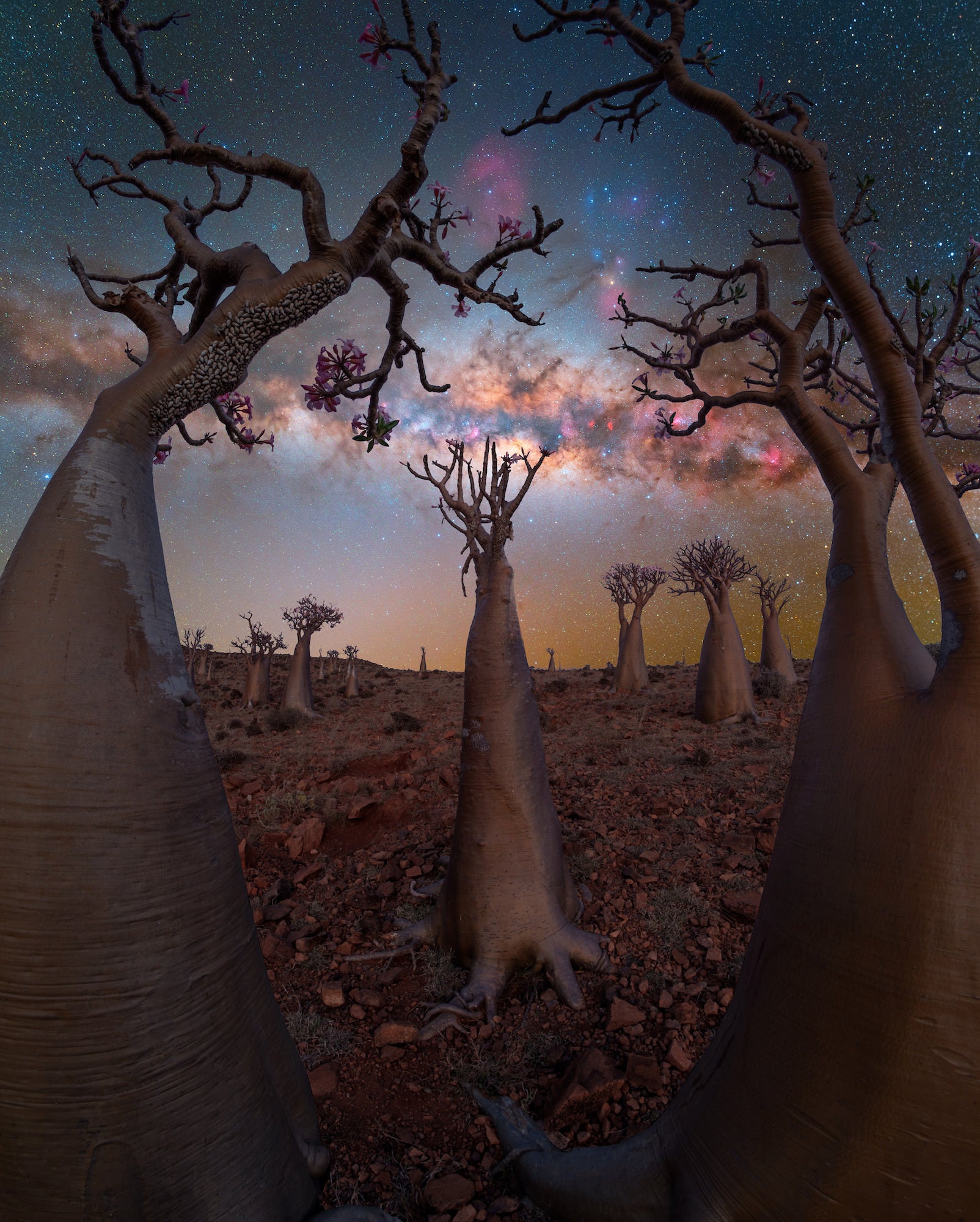 A Milky Way captured on the island of Socotra. Photo by Benjamin Barakat. Alpha 7 IV. 14mm f/1.8 G Master.