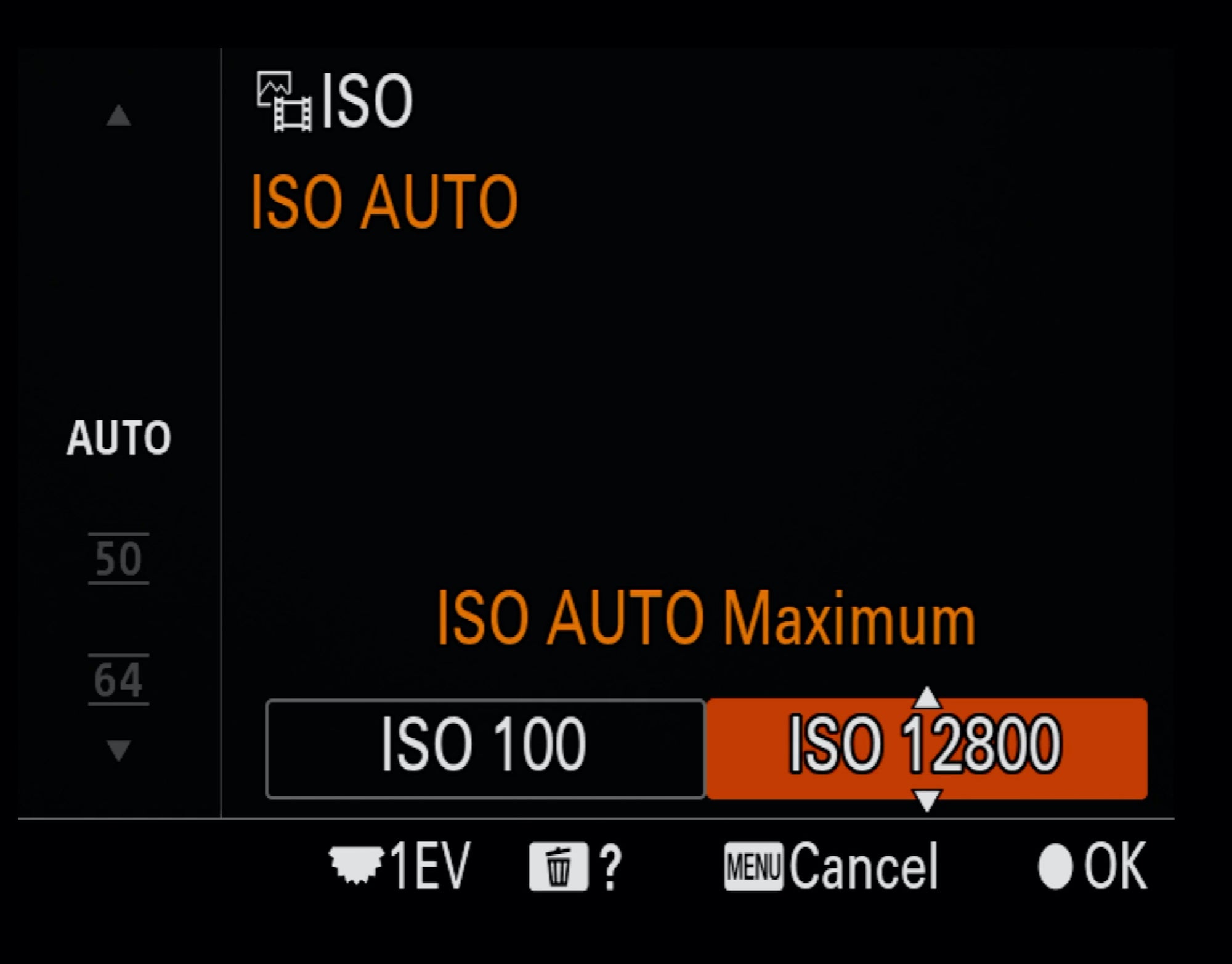 Bird Photography Menu Setup - Auto ISO Max