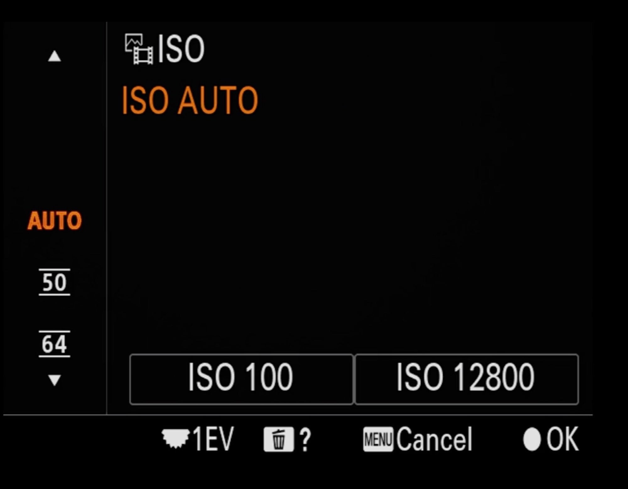 Bird Photography Menu Setup - Auto ISO