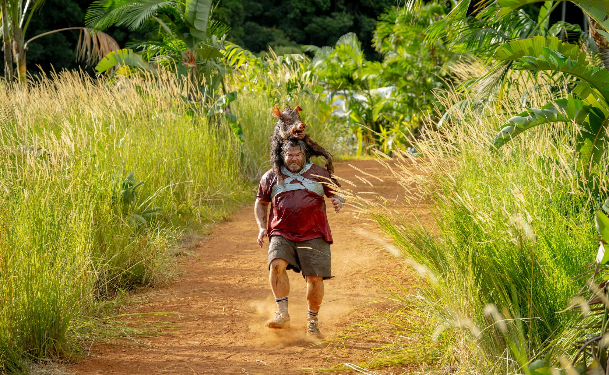 Photo of Jack Black running with a hog on his back from the film Anaconda.