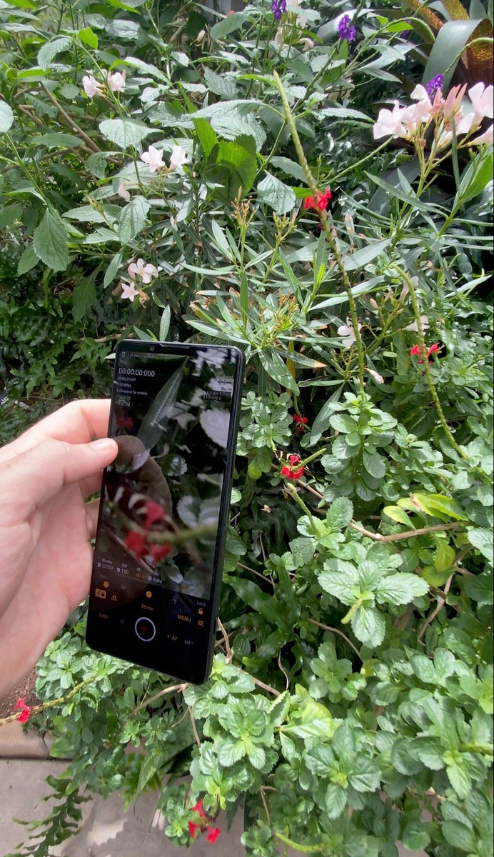 jpeg/Alpha-Universe-Jason-Frankle-Xperia1V-BTS-2-1200_boundsm5mt41.jpeg?height=1200&fit=bounds