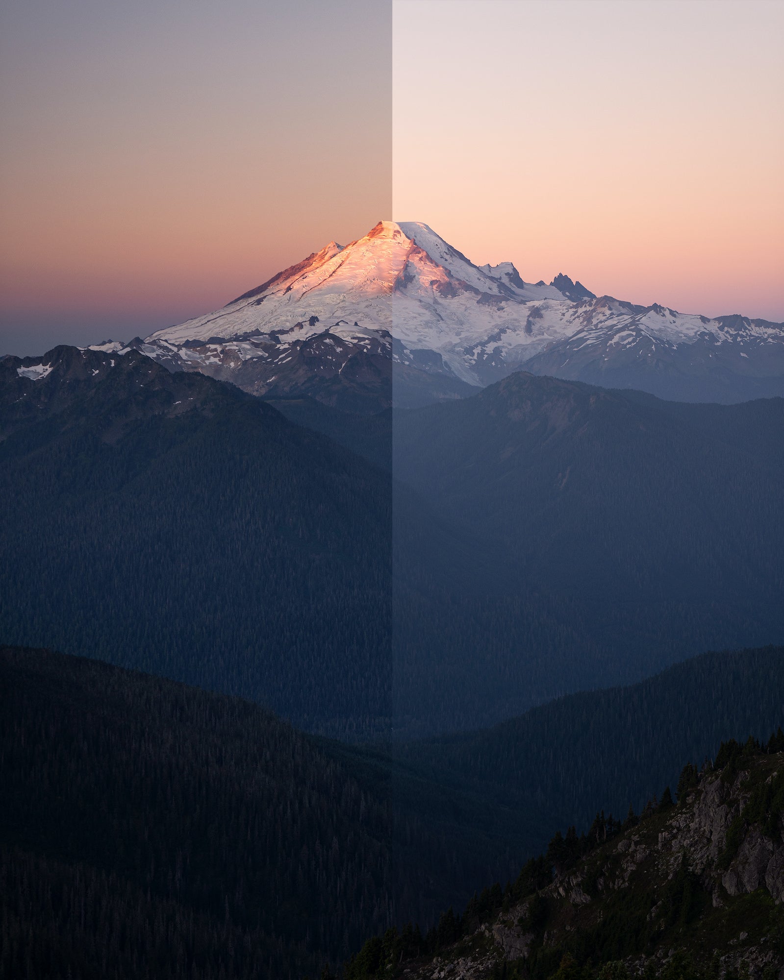 Filter/No Filter Split Photo by Autumn Schrock.