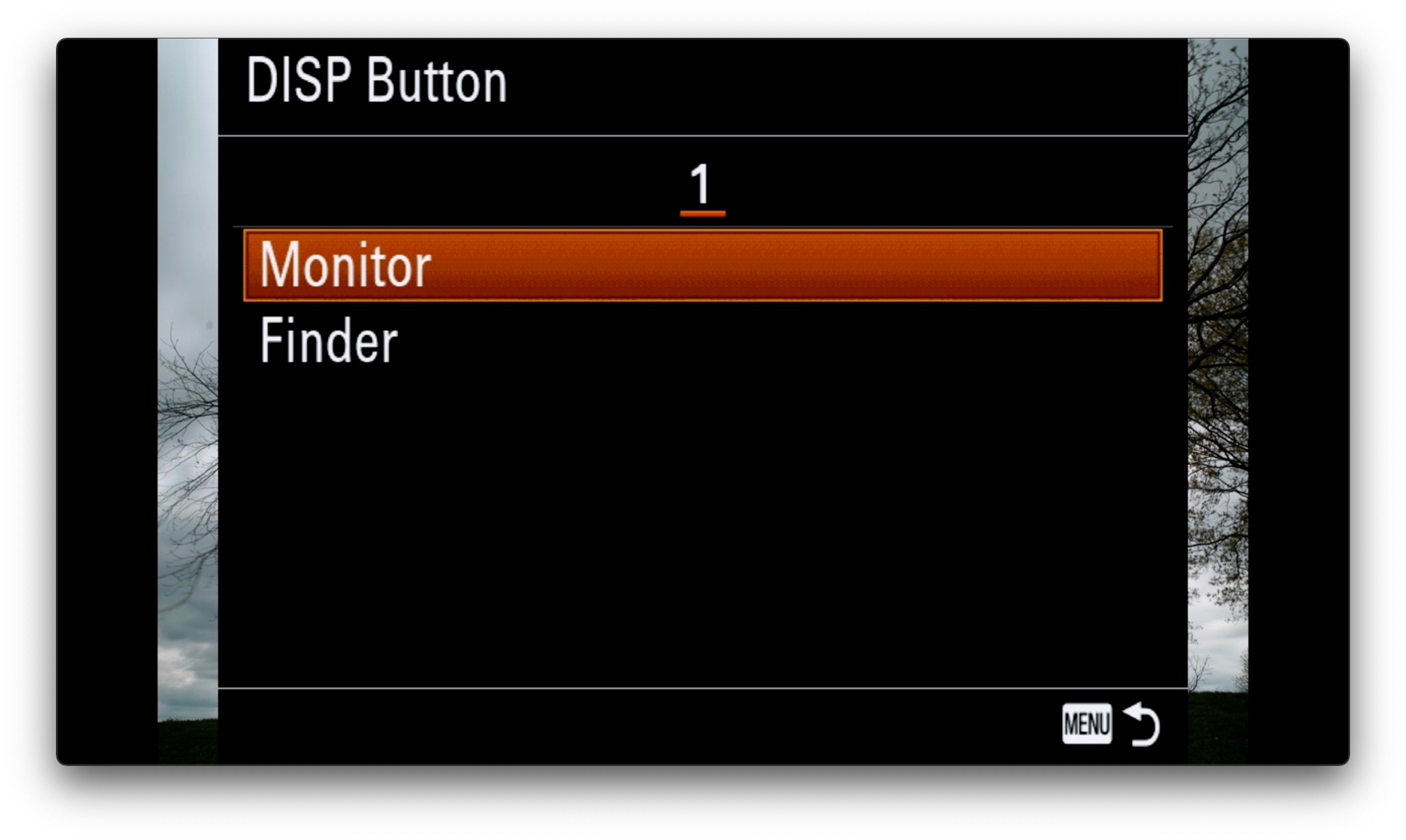 Sony Alpha Universe Long Exposure B-W Settings Display Button Settings EVF and LCD