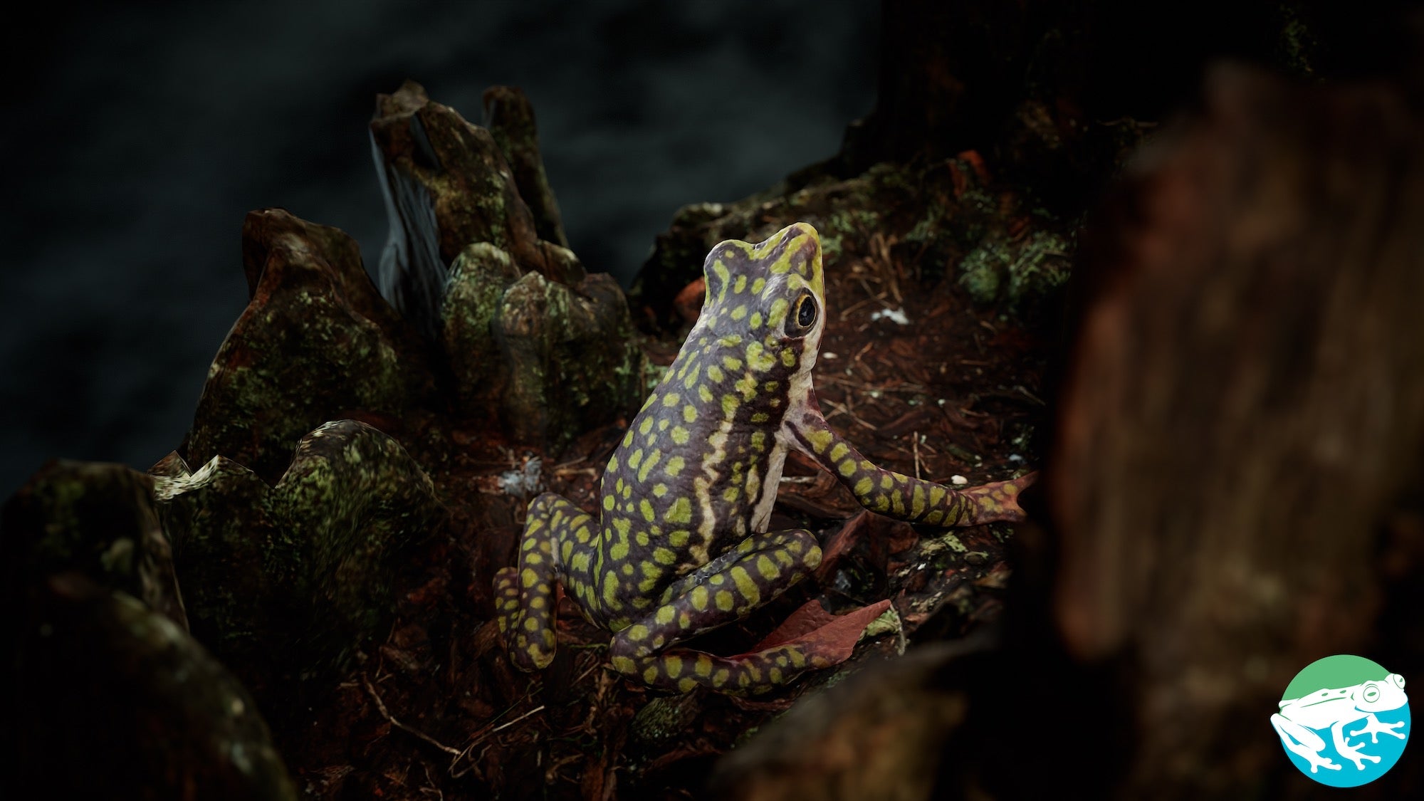 jpeg/Alpha-Universe-Scott-Tragaser-Atelopus3_beauty_render-1200_boundsig1w05.jpeg?height=1200&fit=bounds
