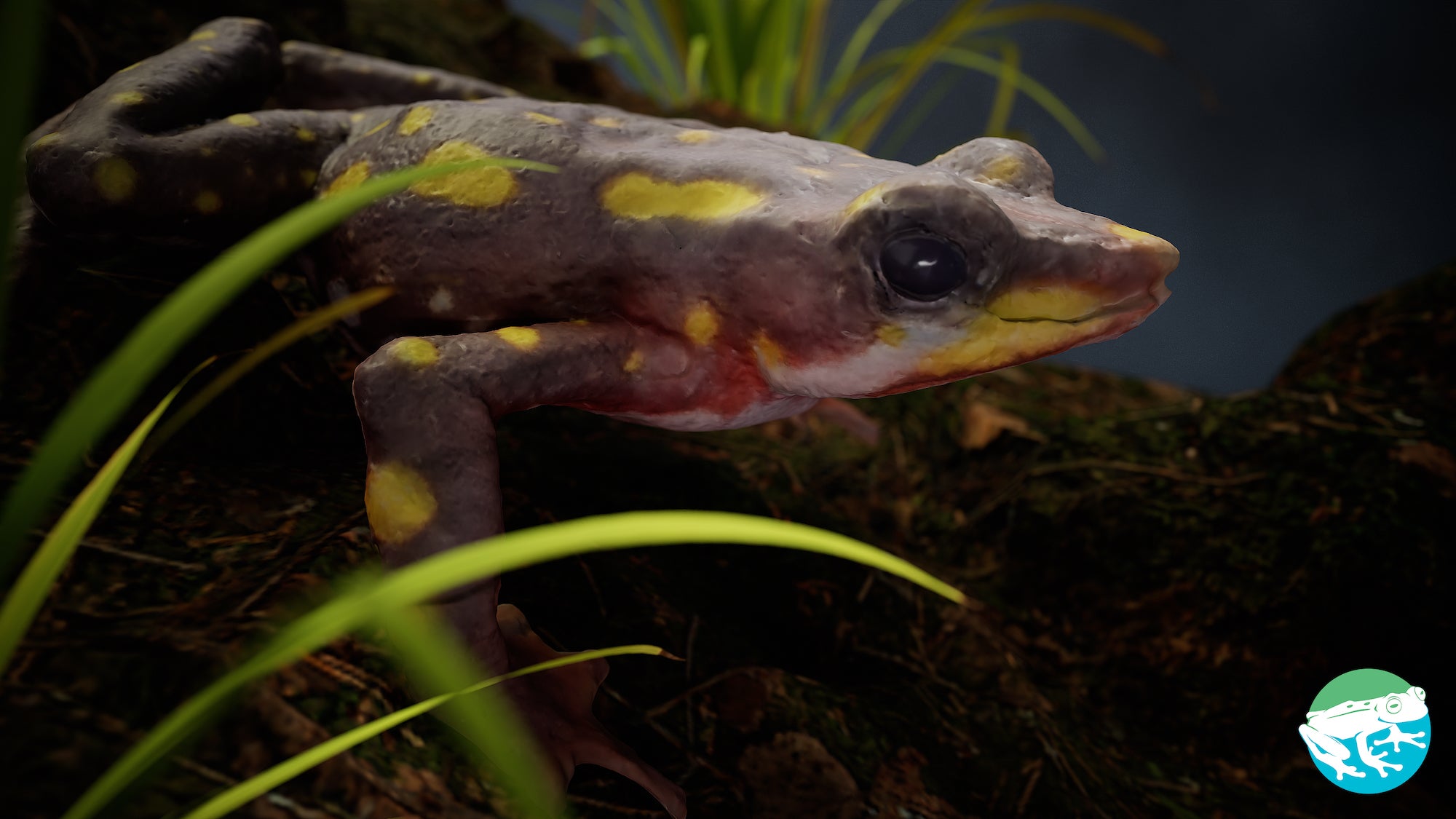 jpeg/Alpha-Universe-Scott-Trageser-Atelopus3_beauty_render-1200_boundstde9ll.jpeg?height=1200&fit=bounds
