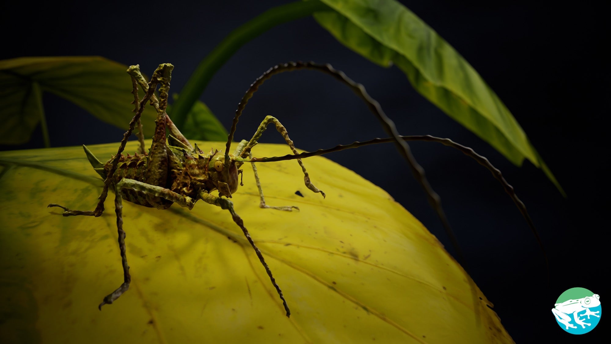 jpeg/Alpha-Universe-Scott-Trageser-Katydid_Final_renderr-1200_boundsi4bd9y.jpeg?height=1200&fit=bounds