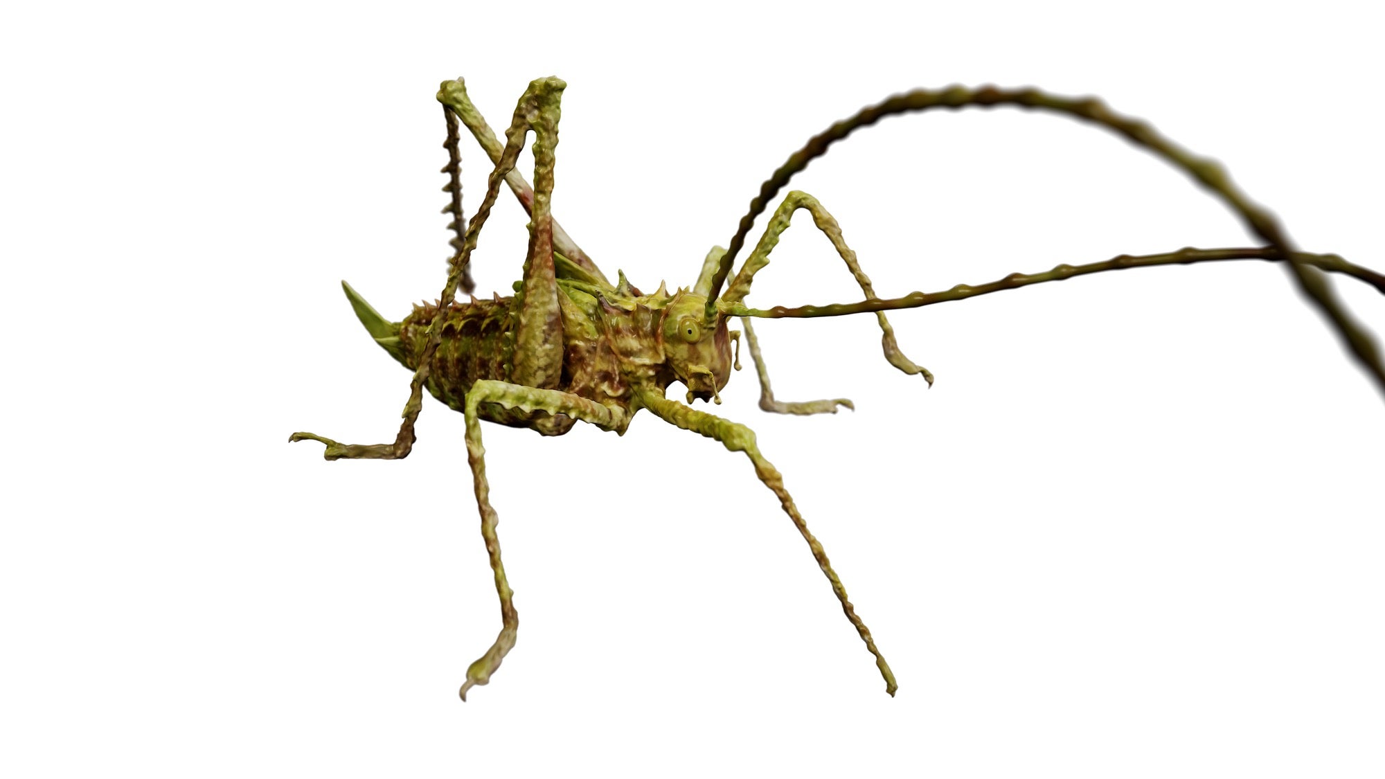 jpeg/Alpha-Universe-Scott-Trageser-katydid_transparent_background-1200_bounds53bmpw.jpeg?height=1200&fit=bounds