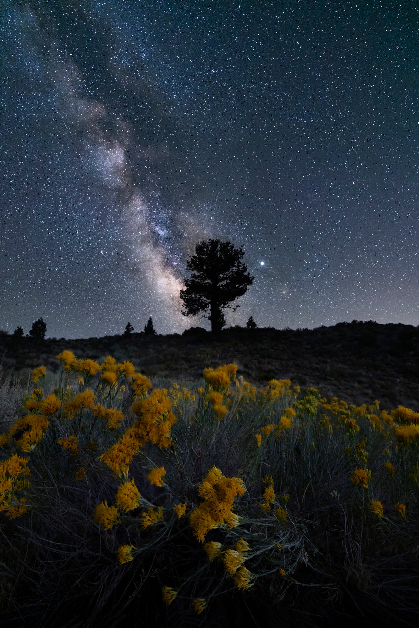 Photo by David Erichsen. Sony Alpha 7R III. Sony 16-35mm f/2.8 G Master. 10-sec., f/2.8, ISO 6400 Photo by David Erichsen. Sony Alpha 7R III. Sony 16-35mm f/2.8 G Master. 10-sec., f/2.8, ISO 6400