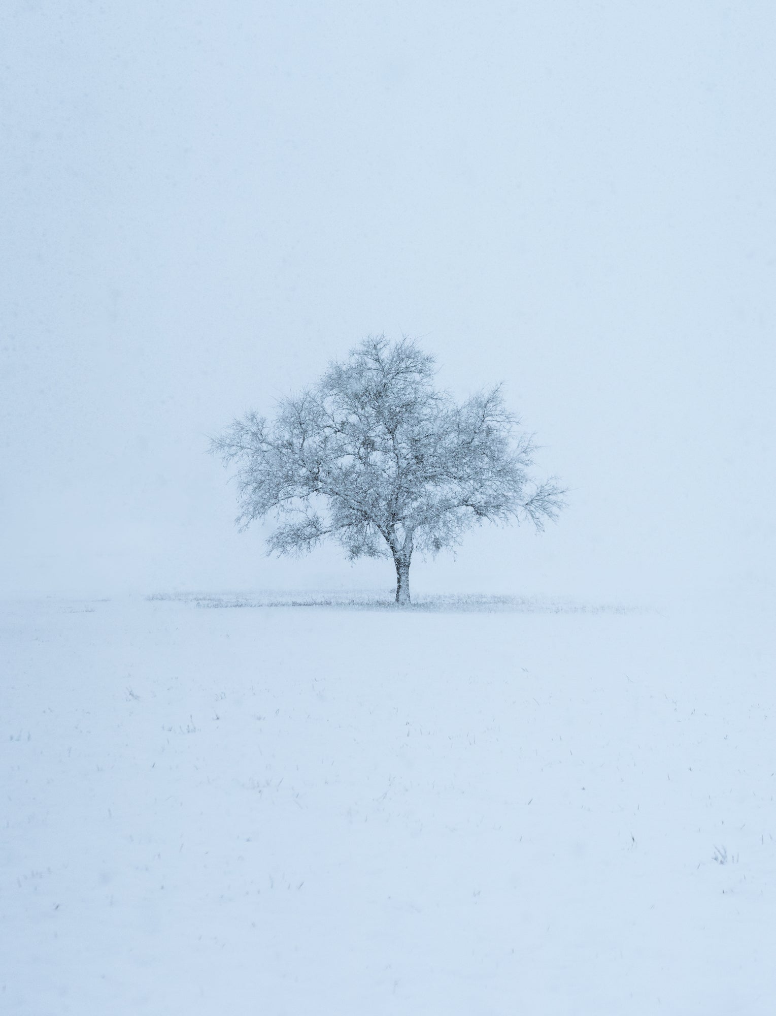 Photo by Erin Newman-Mitchell. Sony Alpha 7R IV. Sony 16-35mm f/2.8 G Master. 1/5000-sec., f/2.8, ISO 160