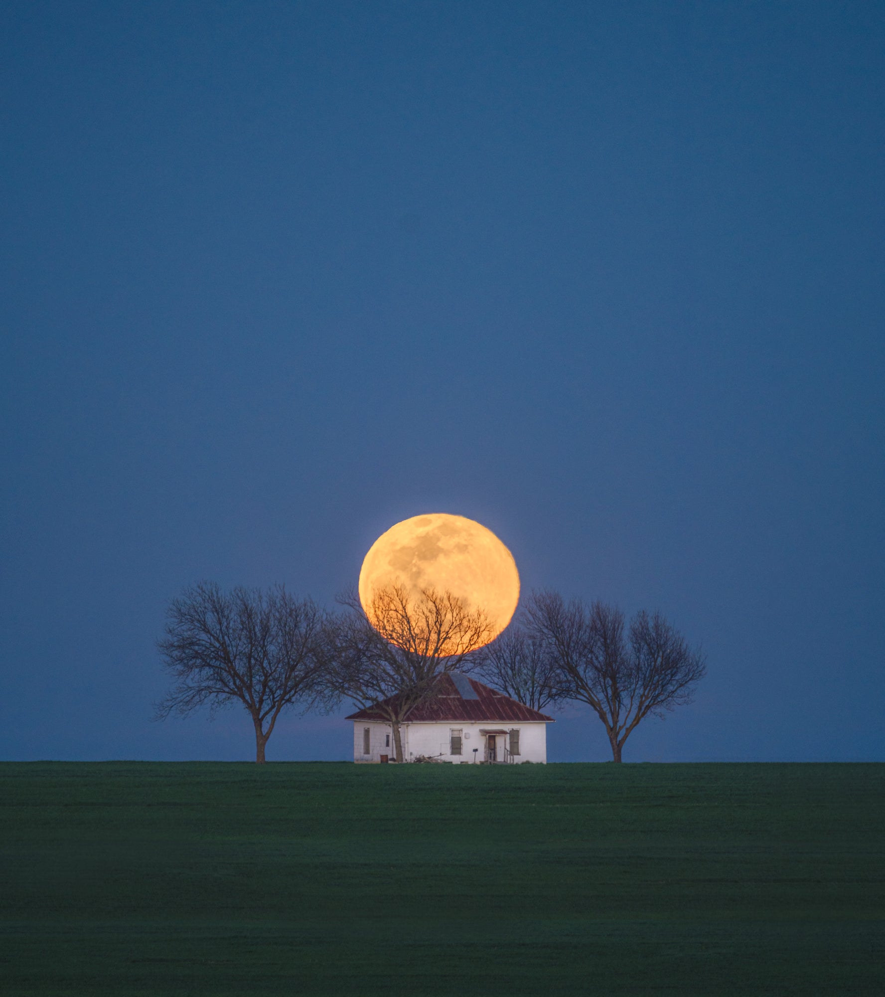 Photo by Erin Newman-Mitchell. Sony Alpha 7R IV. Sony 100-400mm f/4.5-5.6 G Master. 1/13-sec., f/5.6., ISO 320