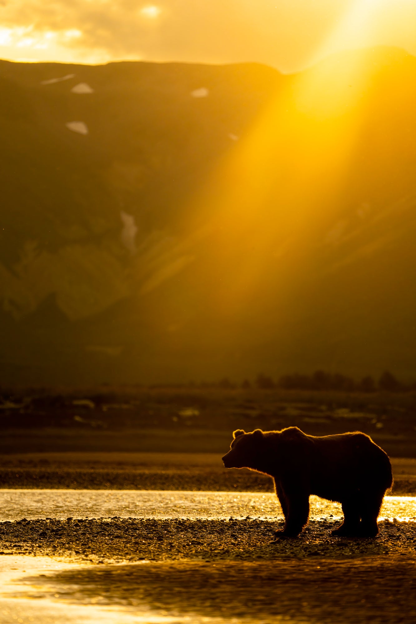 Alpha-Universe-WIMB-KAR-Photography-200-600mm-1.jpeg