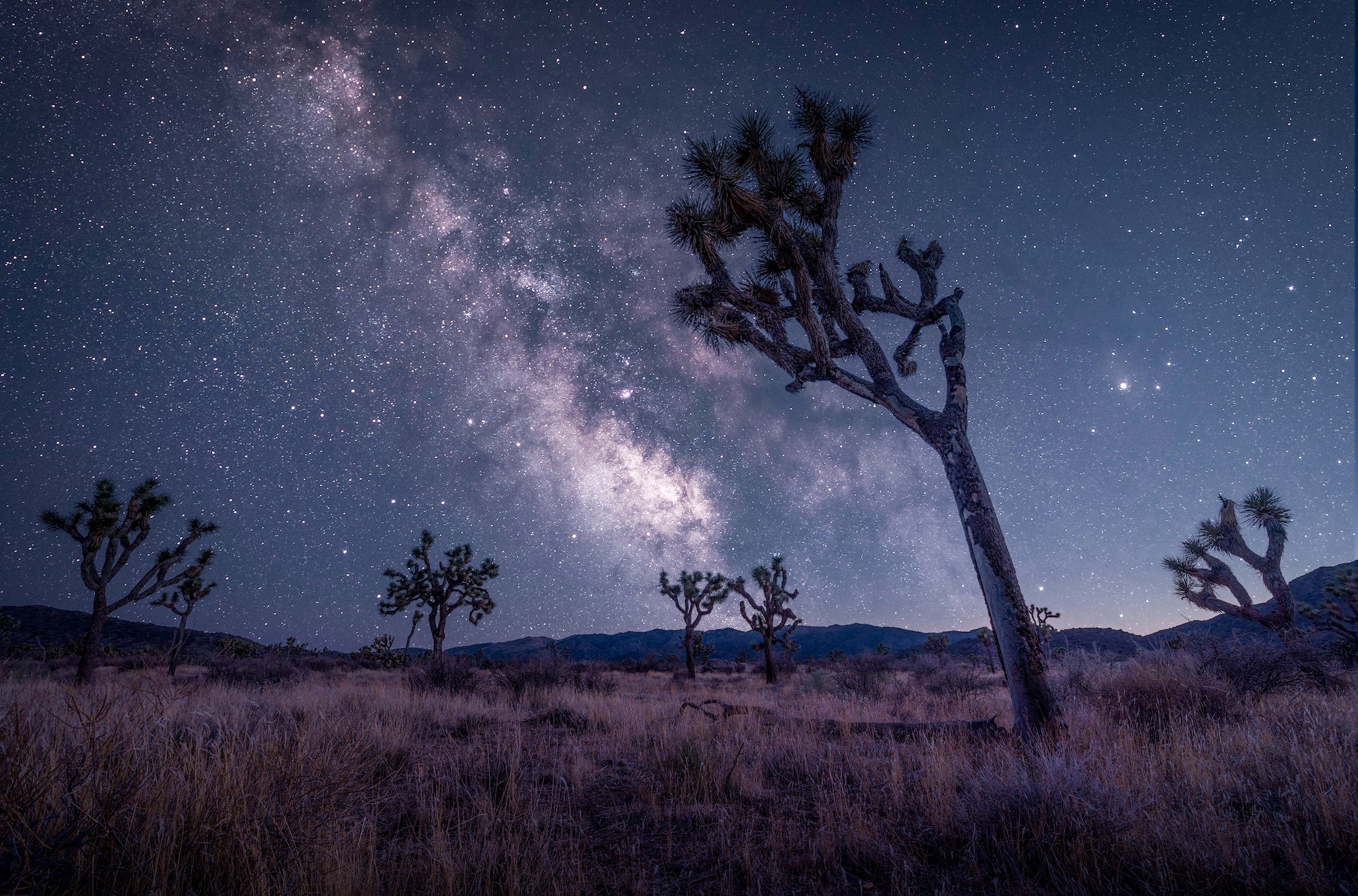 Photo by Michael Castaneda. Sony &alpha;7R III. Sony 16-35mm f/2.8 G Master. Foreground: 1/8-sec., f/10, ISO 100. Sky: 305-secs., f/2.8, ISO 320