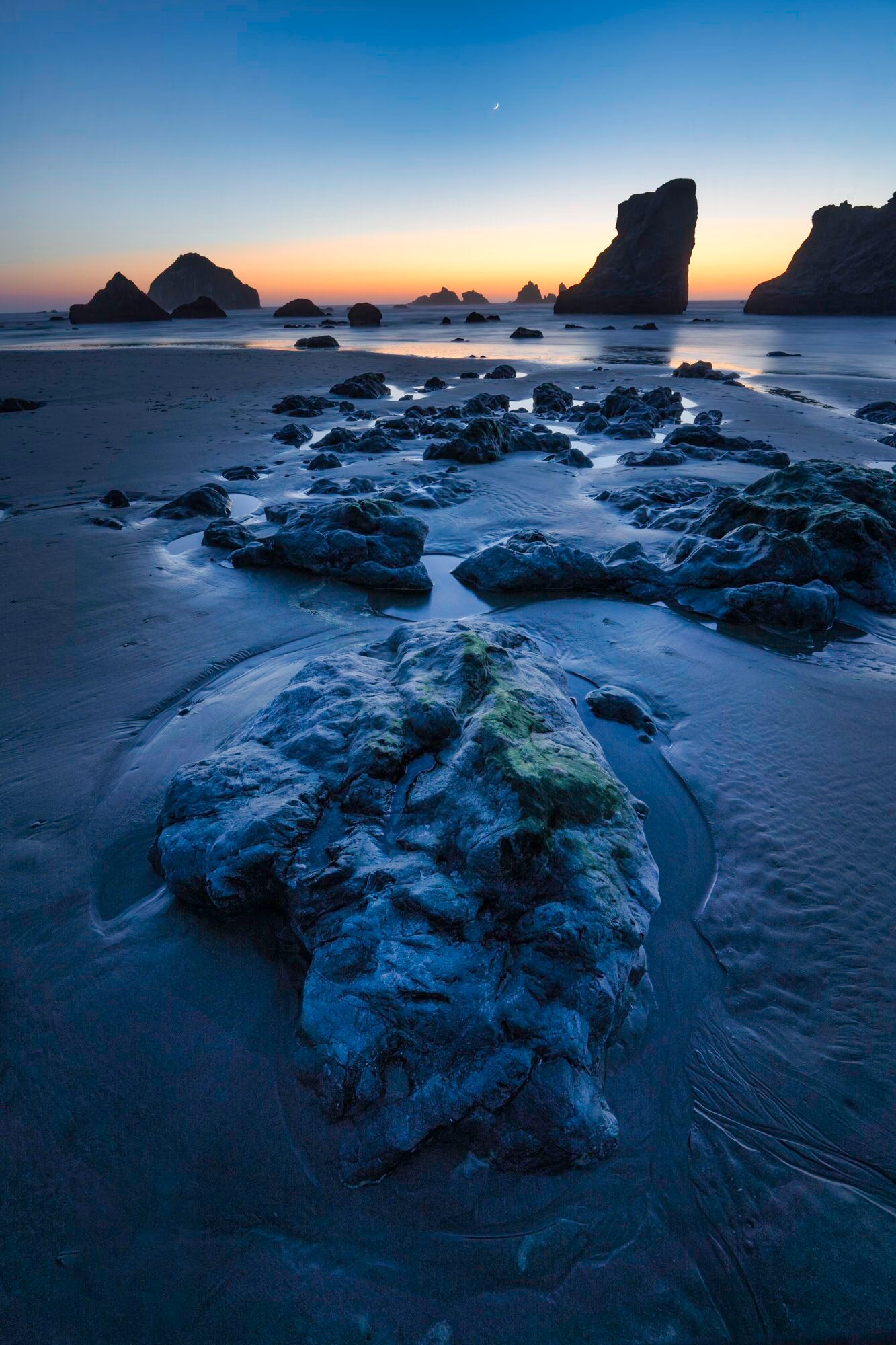 Sony-Alpha-Universe-Photo-by-Don-Smith-14mm-GM-Crescent-Moon-Over-Bandon-Seastacks.jpeg