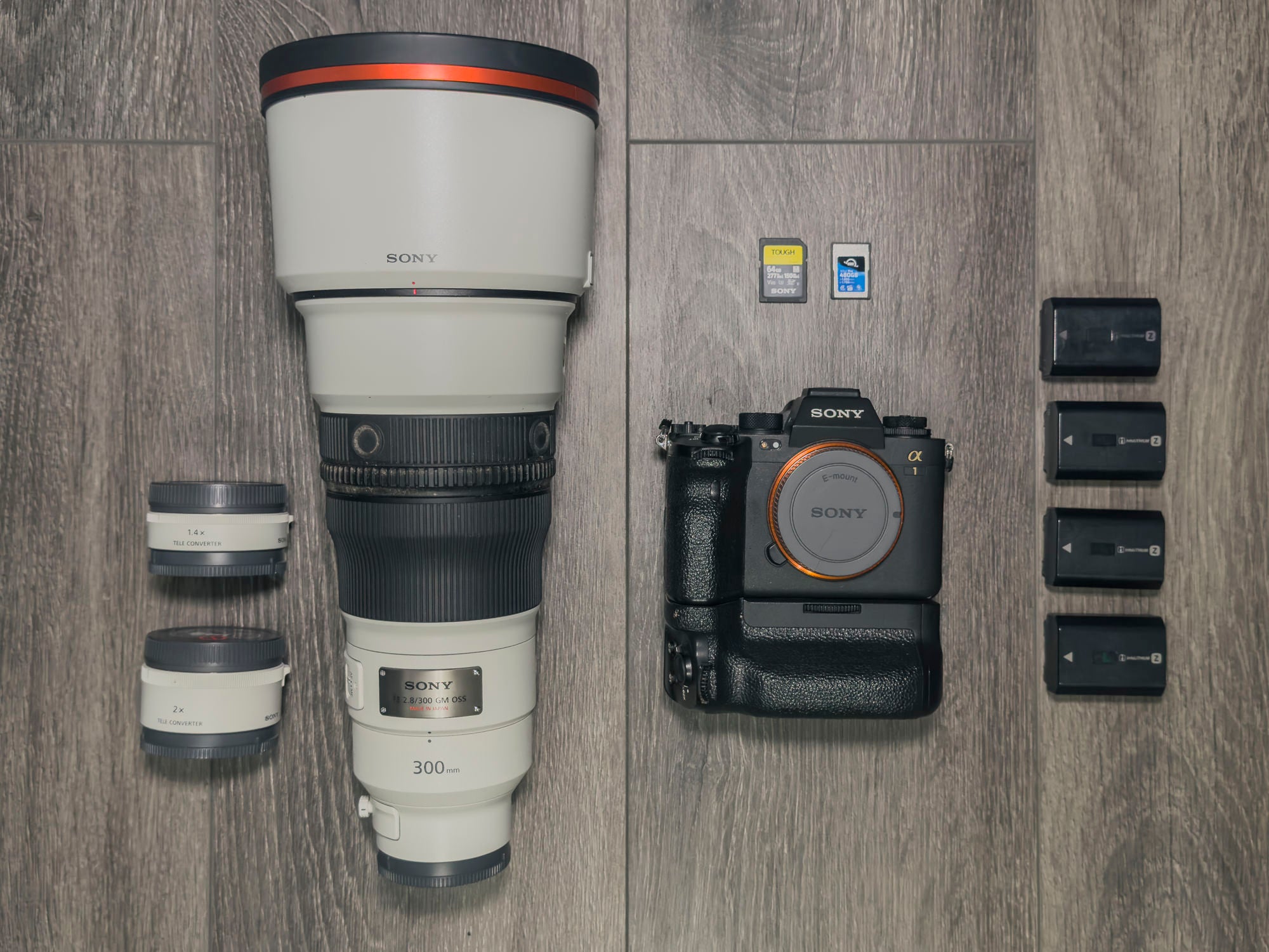 Chad Sawyer's favorite Sony setup for bird photography Chad Sawyer's favorite Sony setup for bird photography