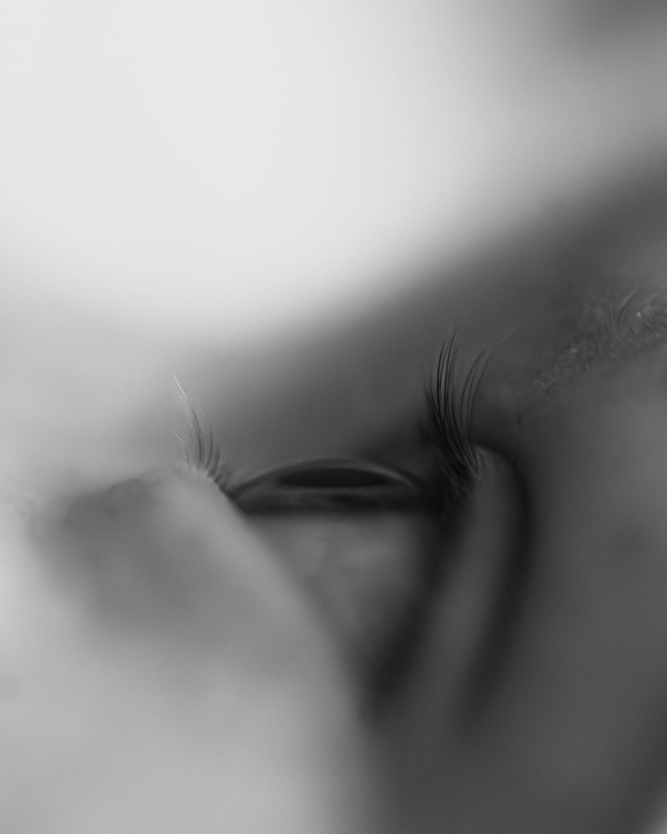 jpeg/alpha-universe-wimb-rebekka-plattner-newborn_eyes-1200_bounds604snd.jpeg?height=1200&fit=bounds