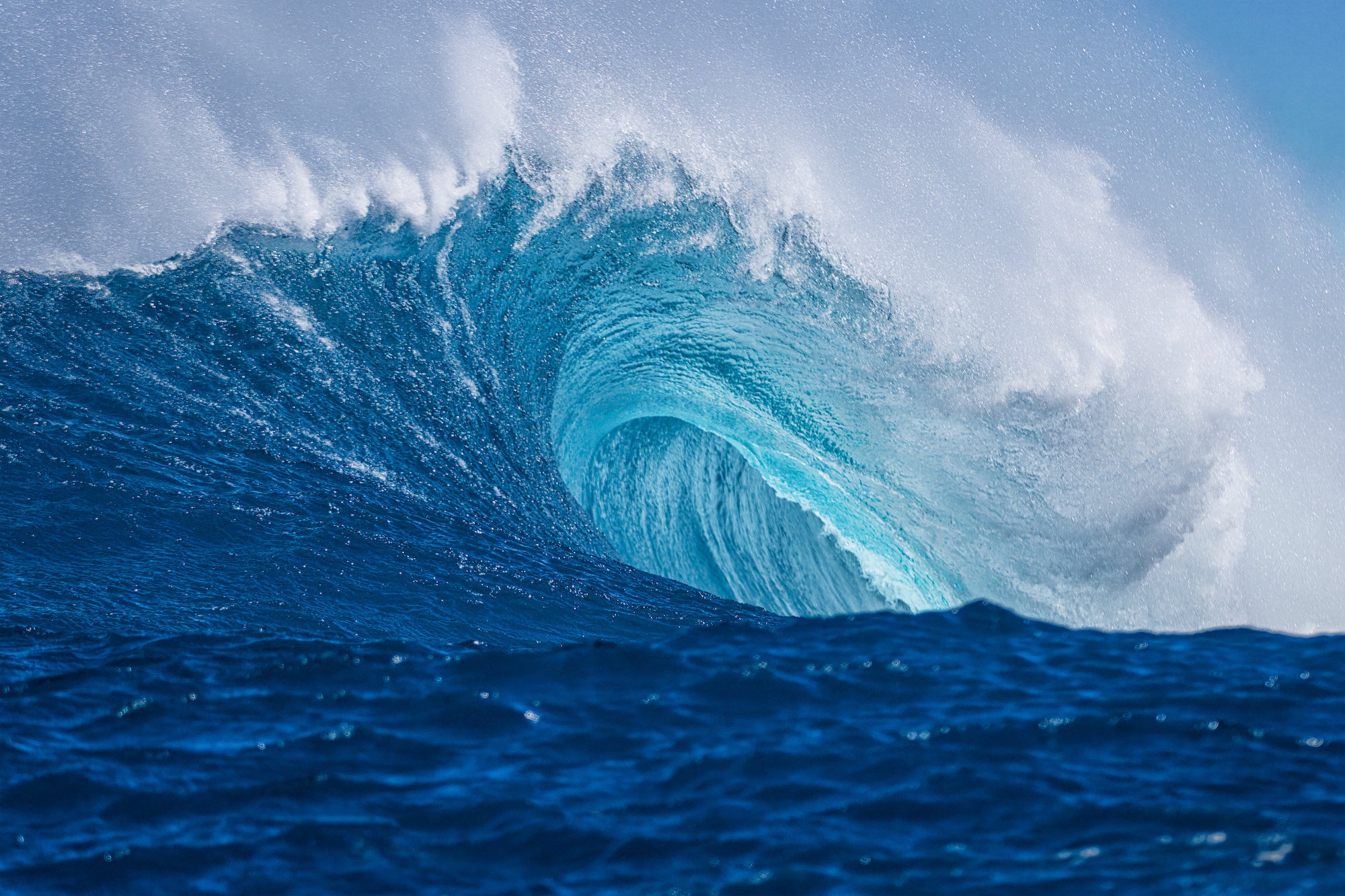 Photo by Brandon Kirk. Sony Alpha 7R V. Sony 70-200mm f/2.8 G Master. 1/3200-sec., f/2.8, ISO 100