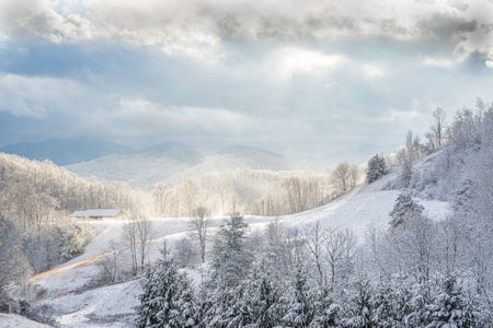 Leslie Restivo is our “Winter at Home” theme micro-grant winner.