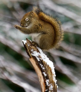Katrina Thompson is our “Happy Accidents” theme micro-grant winner.