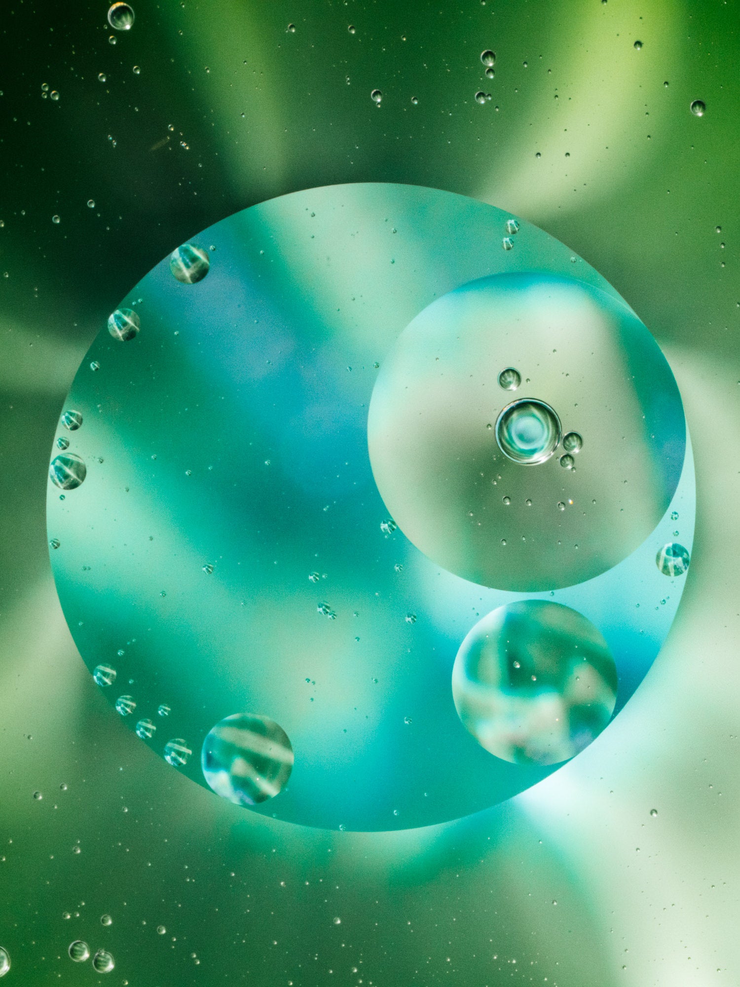 Photo by Erin Sullivan. Alpha 1. 100mm f/2.8 Macro G Master. 1/400-sec., f/16, ISO 1600