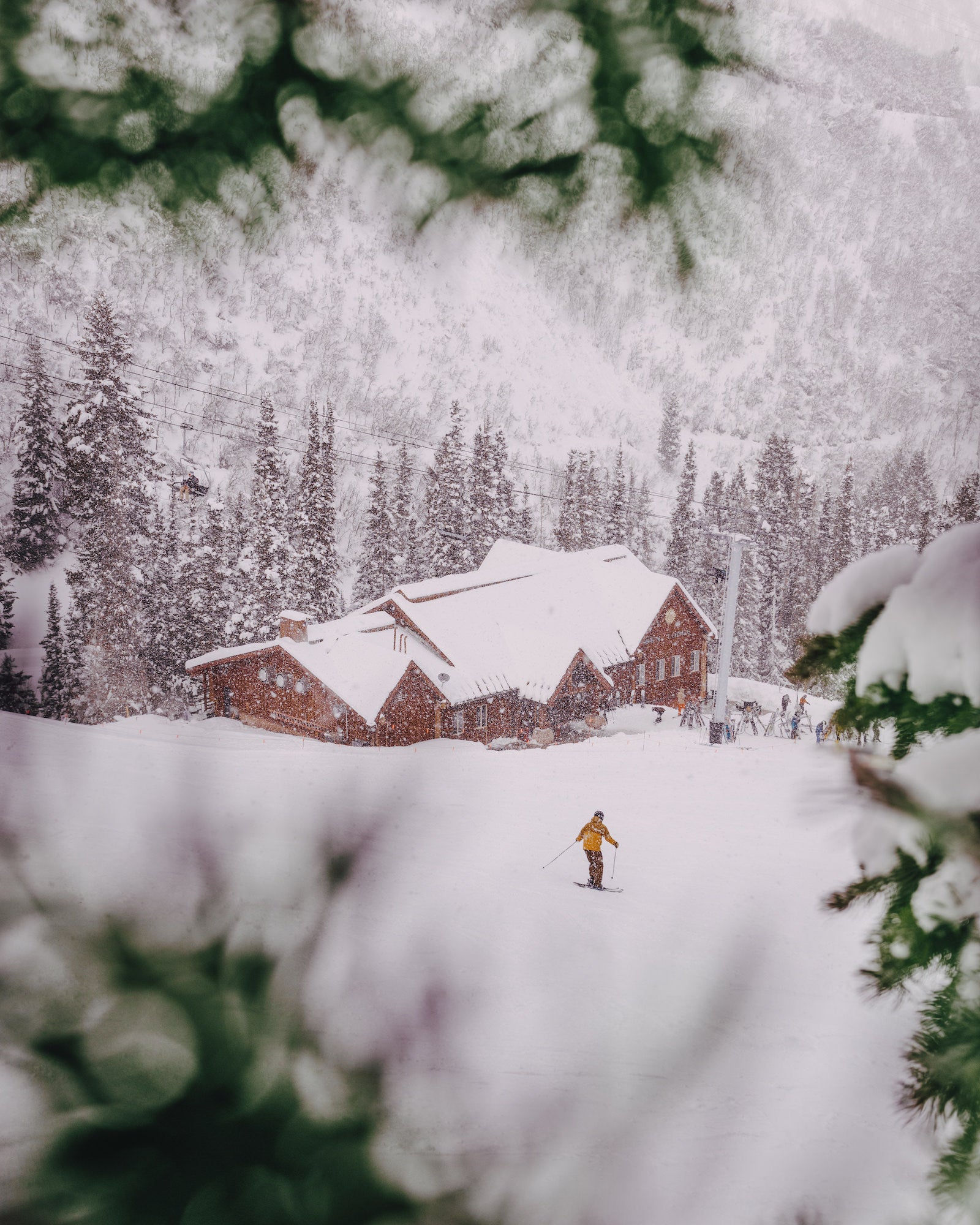 Photo by Jason Frankle