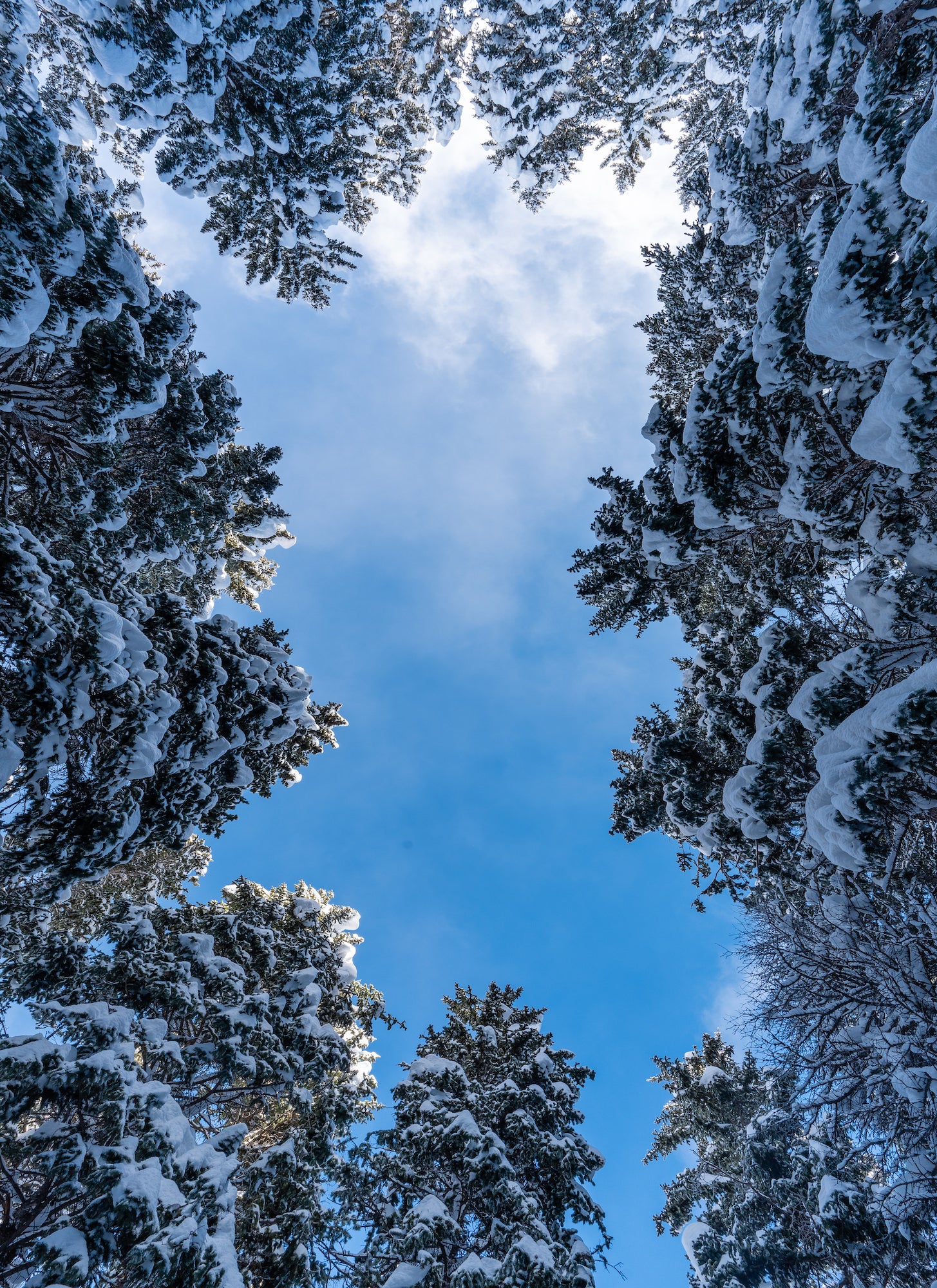 Photo by Jason Frankle