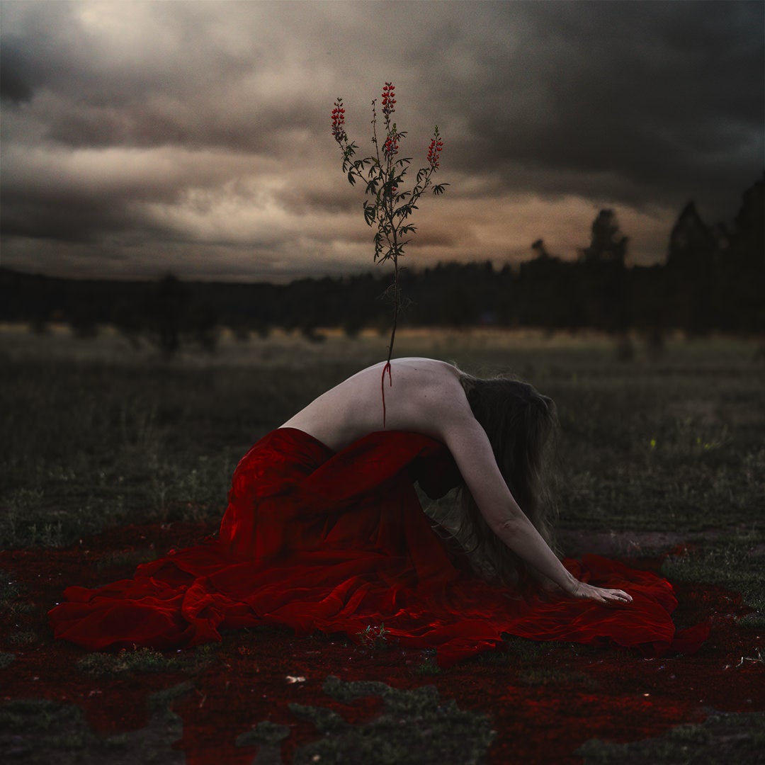 jpg/Alpha-Universe-30-Days-Brooke-Shaden-4-1200_boundsejngci.jpg?height=1200&fit=bounds