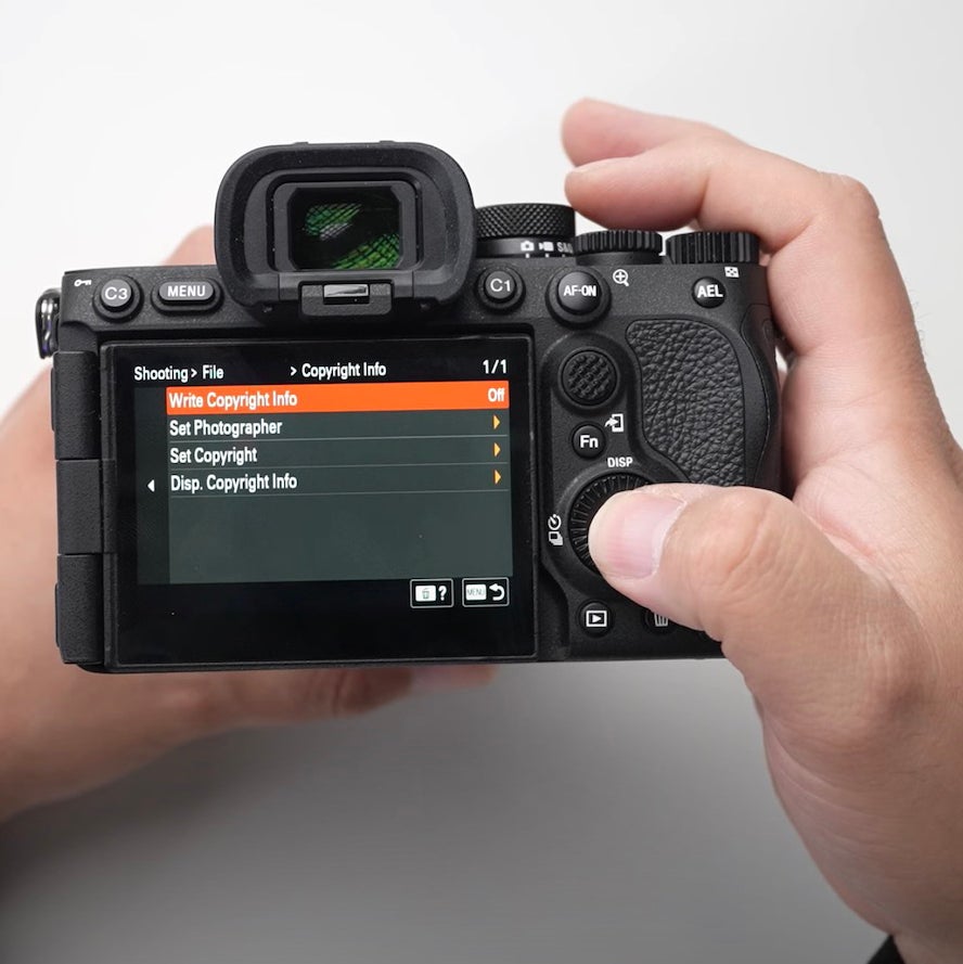 Sony Alpha 7R V Setup For Portrait Photography