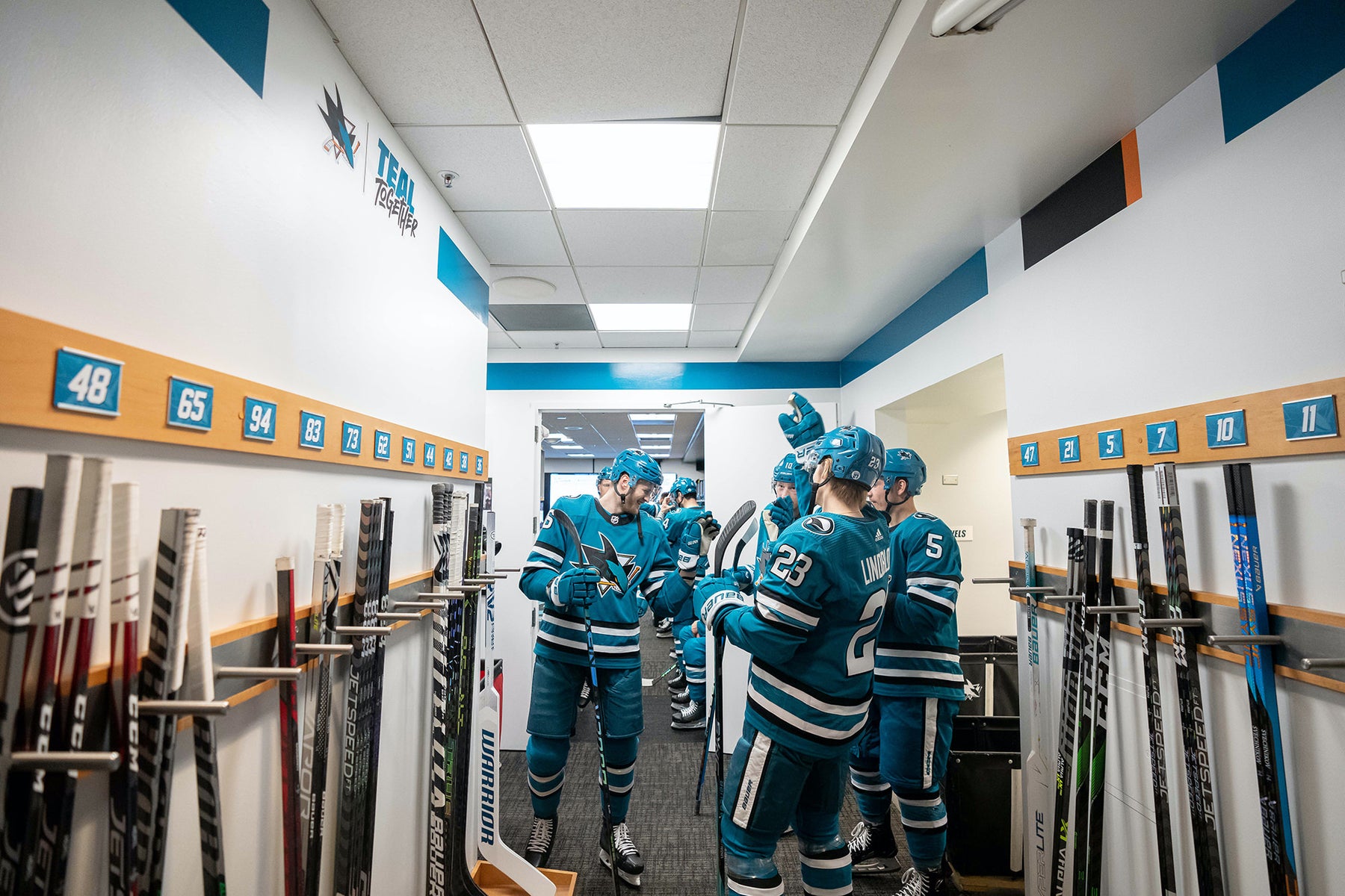 jpg/Alpha-Universe-Amanda-Cain-bruins_vs._sharks17-1200_boundszaa41s.jpg?height=1200&fit=bounds