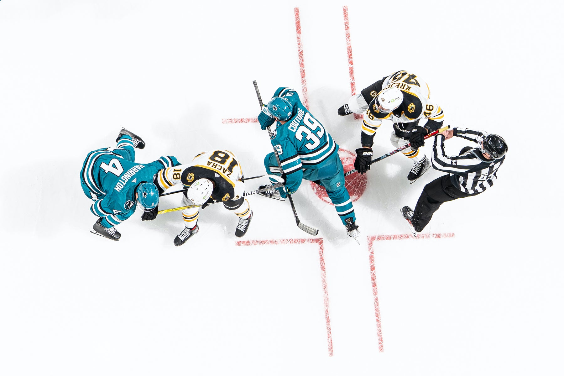jpg/Alpha-Universe-Amanda-Cain-bruins_vs._sharks42-1200_boundsn47duc.jpg?height=1200&fit=bounds