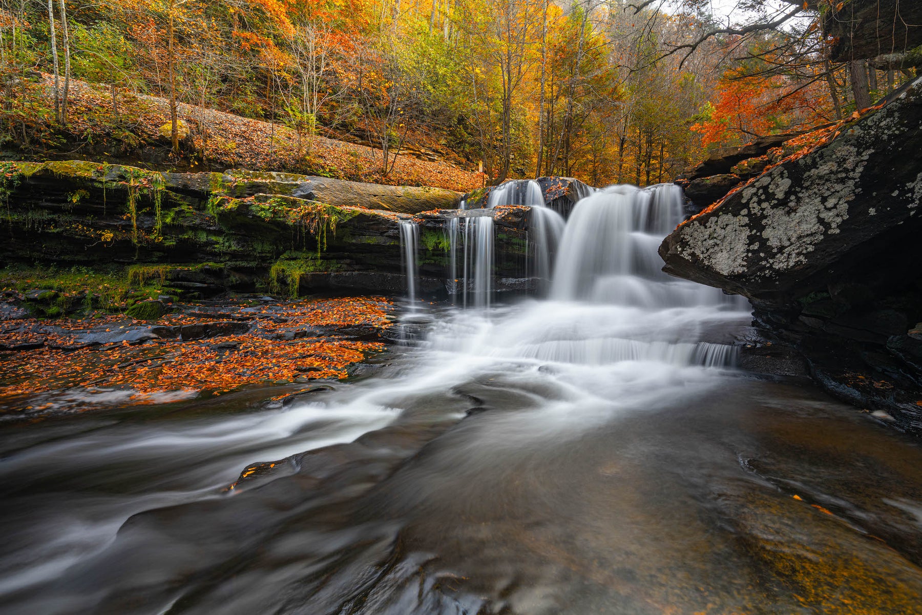 jpg/Alpha-Universe-Andrew-Geraci-FallRoadTrip-14-1200_boundsboqrod.jpg?height=1200&fit=bounds