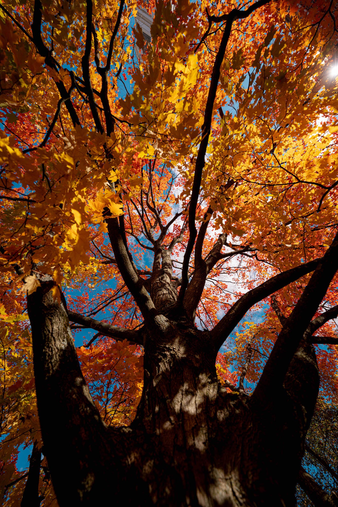 Photo by Andrew Geraci. Sony Alpha 7R V. Sony 12-24mm f/2.8 G Master. 1/2000-sec., f/2.8, ISO 100