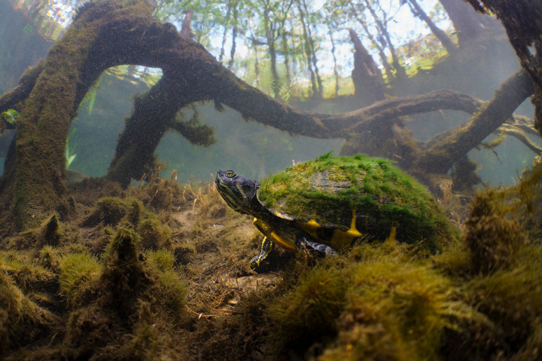 jpg/Alpha-Universe-Andrew-Zimmerman-WhatsInMyBag-5-1200_boundssdqw6m.jpg?height=1200&fit=bounds