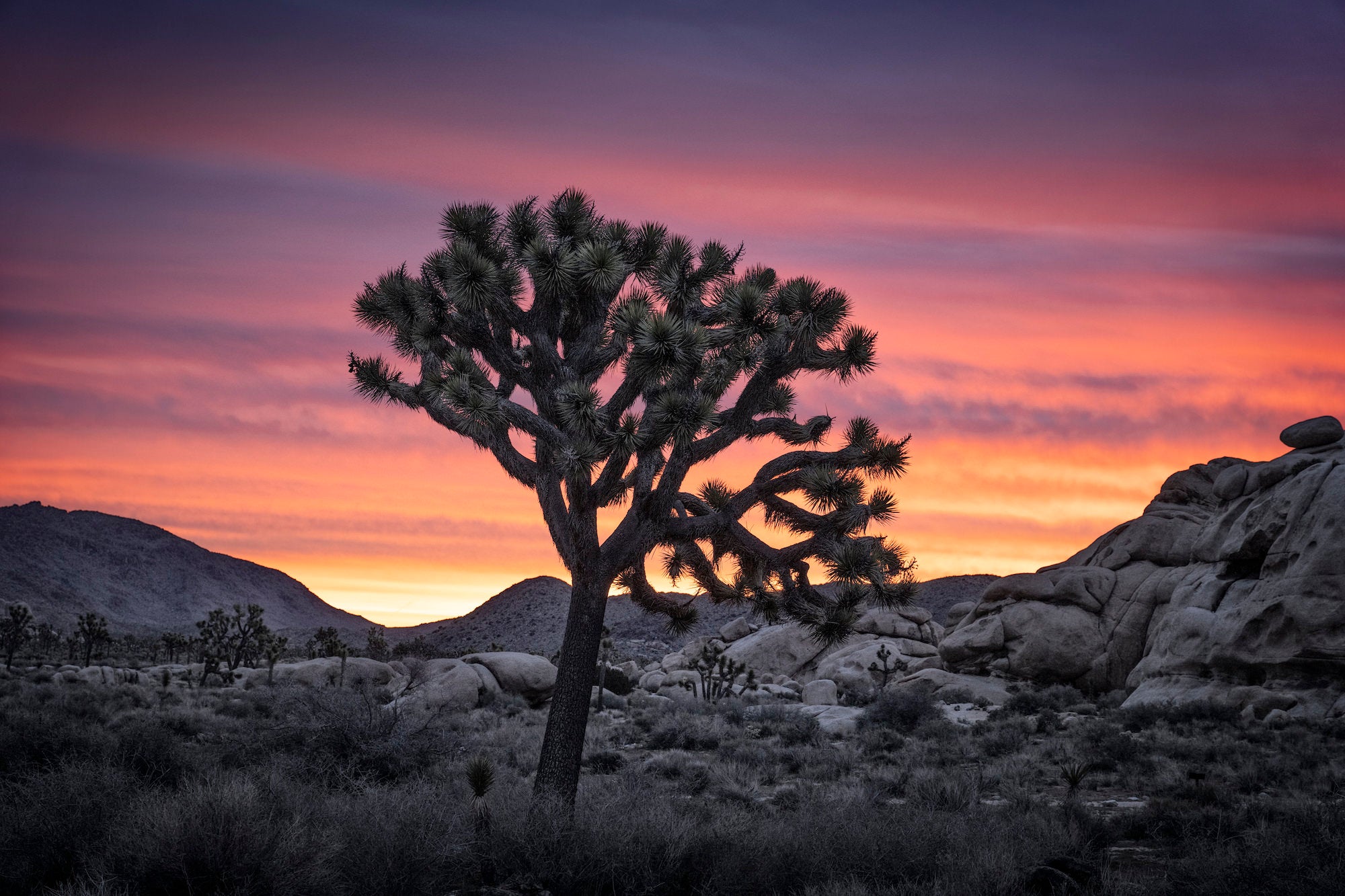 Photo by Andy Katz. Sony Alpha 1. Sony 20-70mm f/4 G. 1/50-sec., f/5, ISO 200