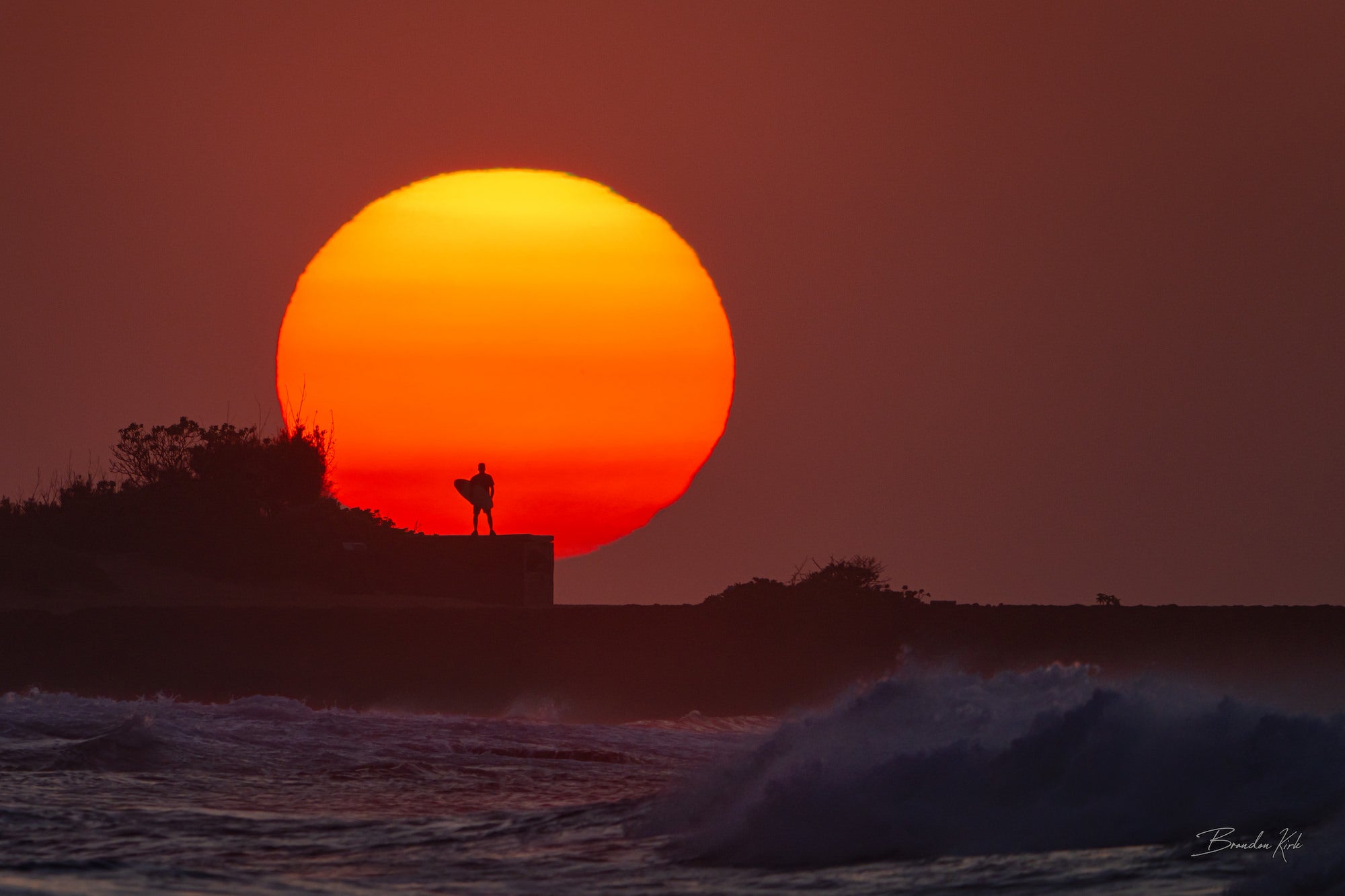 Photo by Brandon Kirk. Sony Alpha 7R V. Sony 200-600mm f/5.6-6.3 G + 1.4x TC. 1/640-sec., f/9, ISO 200