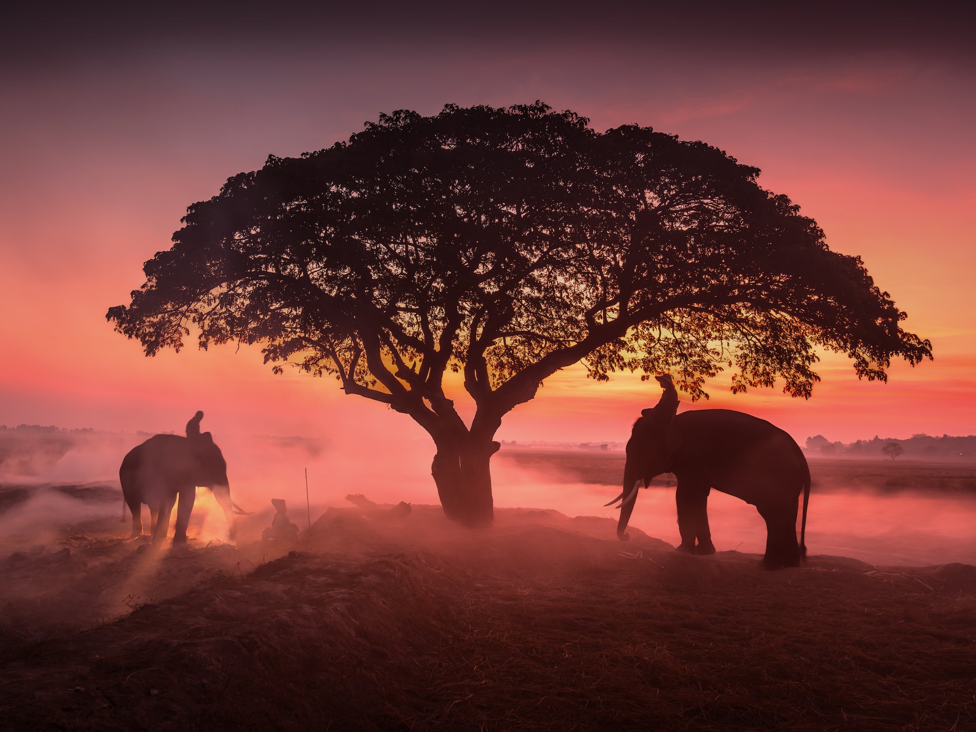 Photo by Criz Quinn. Sony Alpha 1 II. Sony 24-105mm f/4 G. 1/2-sec., f/4, ISO 160