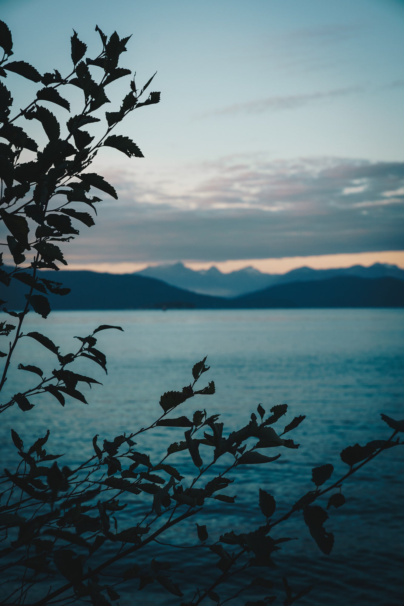 Photo by Sal D&rsquo;Alia. Sony Alpha 7R V. Sony 24-70mm f/2.8 G Master II.