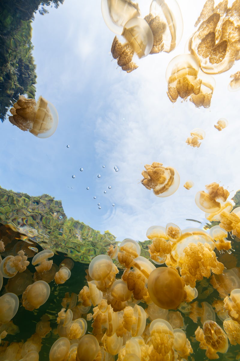 jpg/Alpha-Universe-BTS-Allegra-Hutton-belowjellies-1200_bounds9jywju.jpg?height=1200&fit=bounds