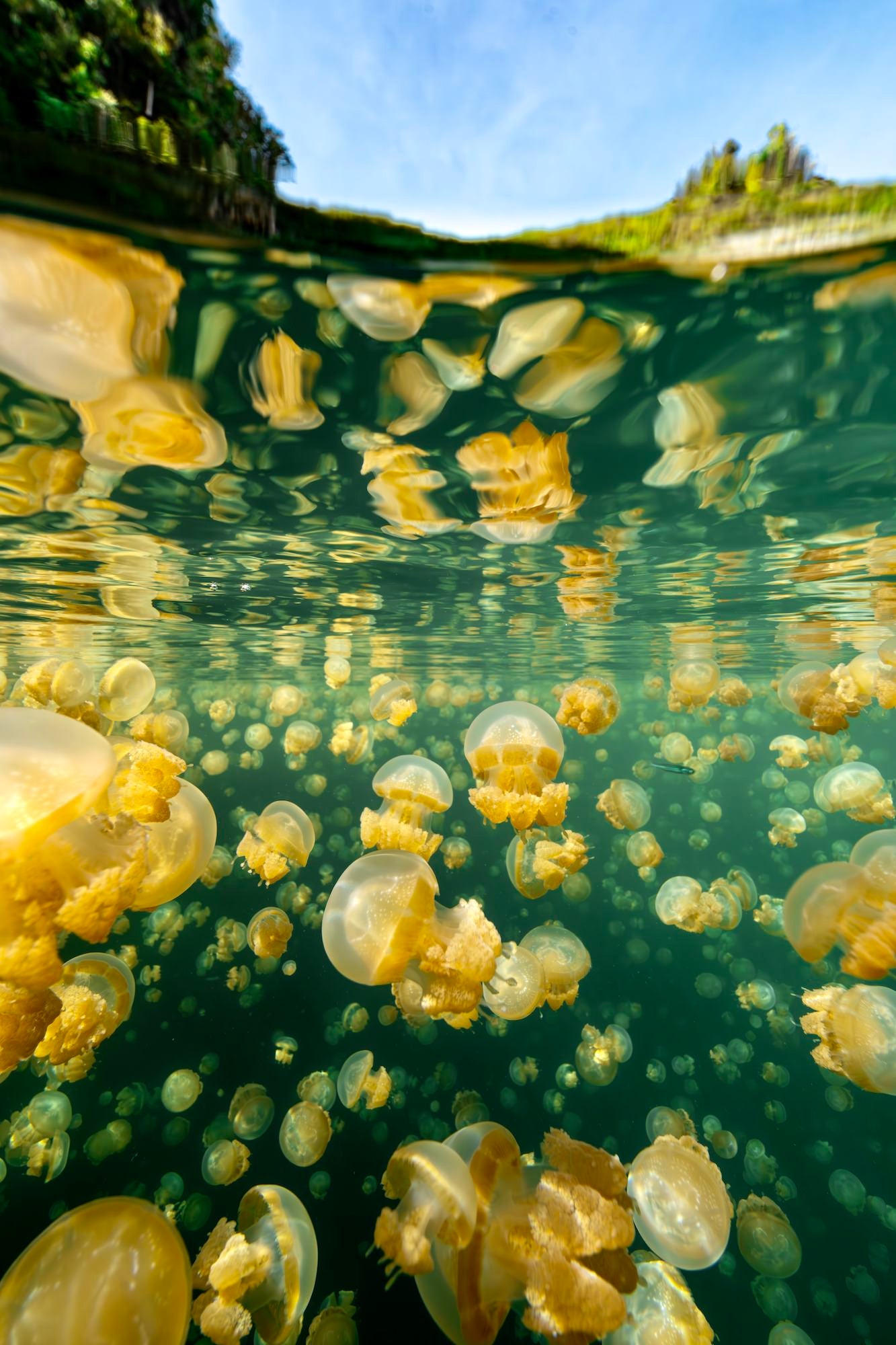 Photo by Allegra Hutton. Sony Alpha 7R V. Sony 14mm f/1.8 G Master. 1/125-sec., f/11, ISO 320 Photo by Allegra Hutton. Sony Alpha 7R V. Sony 14mm f/1.8 G Master. 1/125-sec., f/11, ISO 320