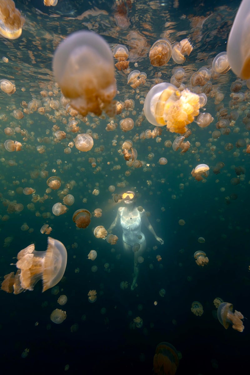 jpg/Alpha-Universe-BTS-Allegra-Hutton-jellyfishwithbabysis-1200_boundsqjpj9j.jpg?height=1200&fit=bounds