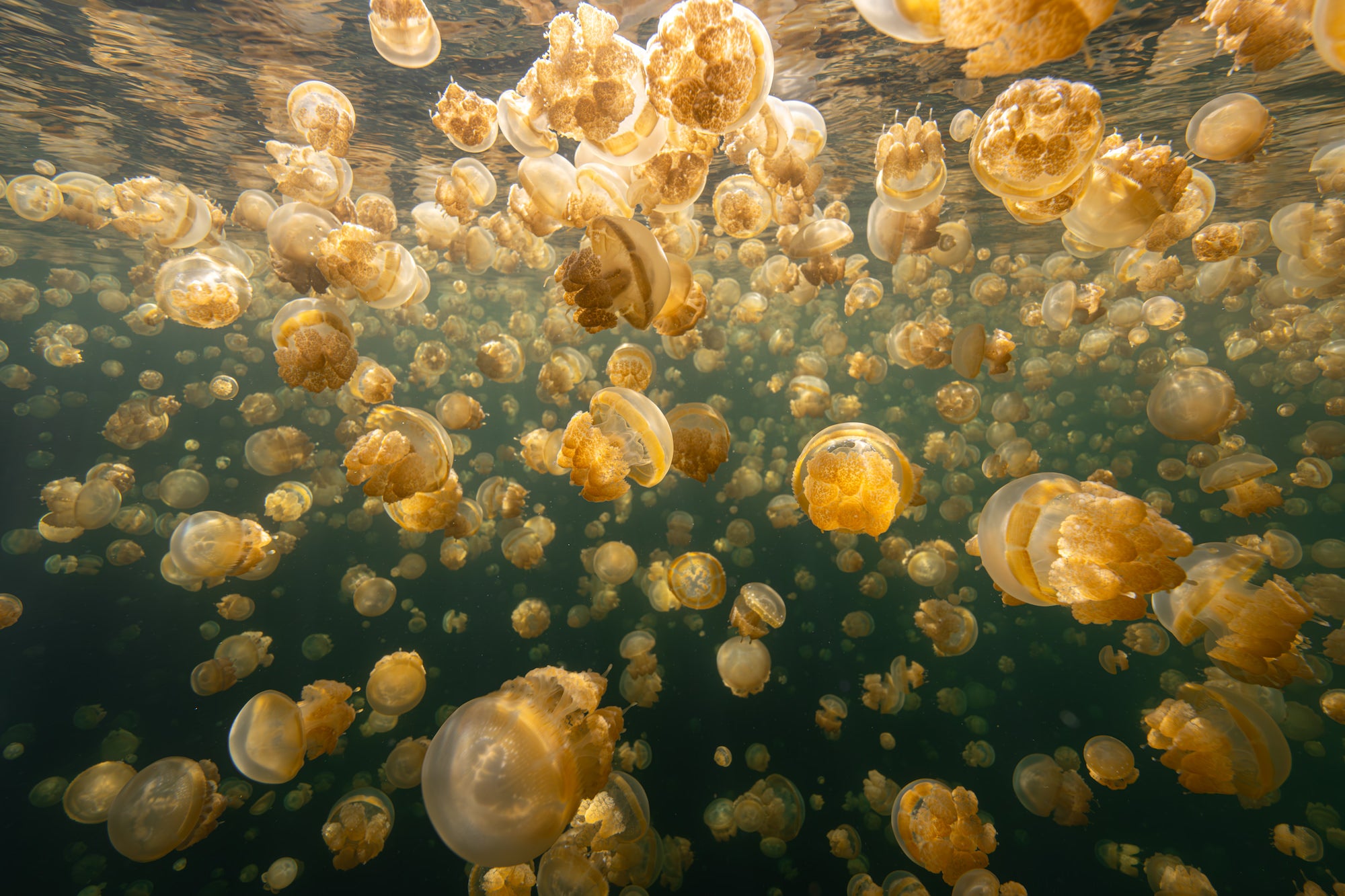 Photo by Allegra Hutton. Sony Alpha 7R V. Sony 14mm f/1.8 G Master. 1/125-sec., f/11, ISO 320
