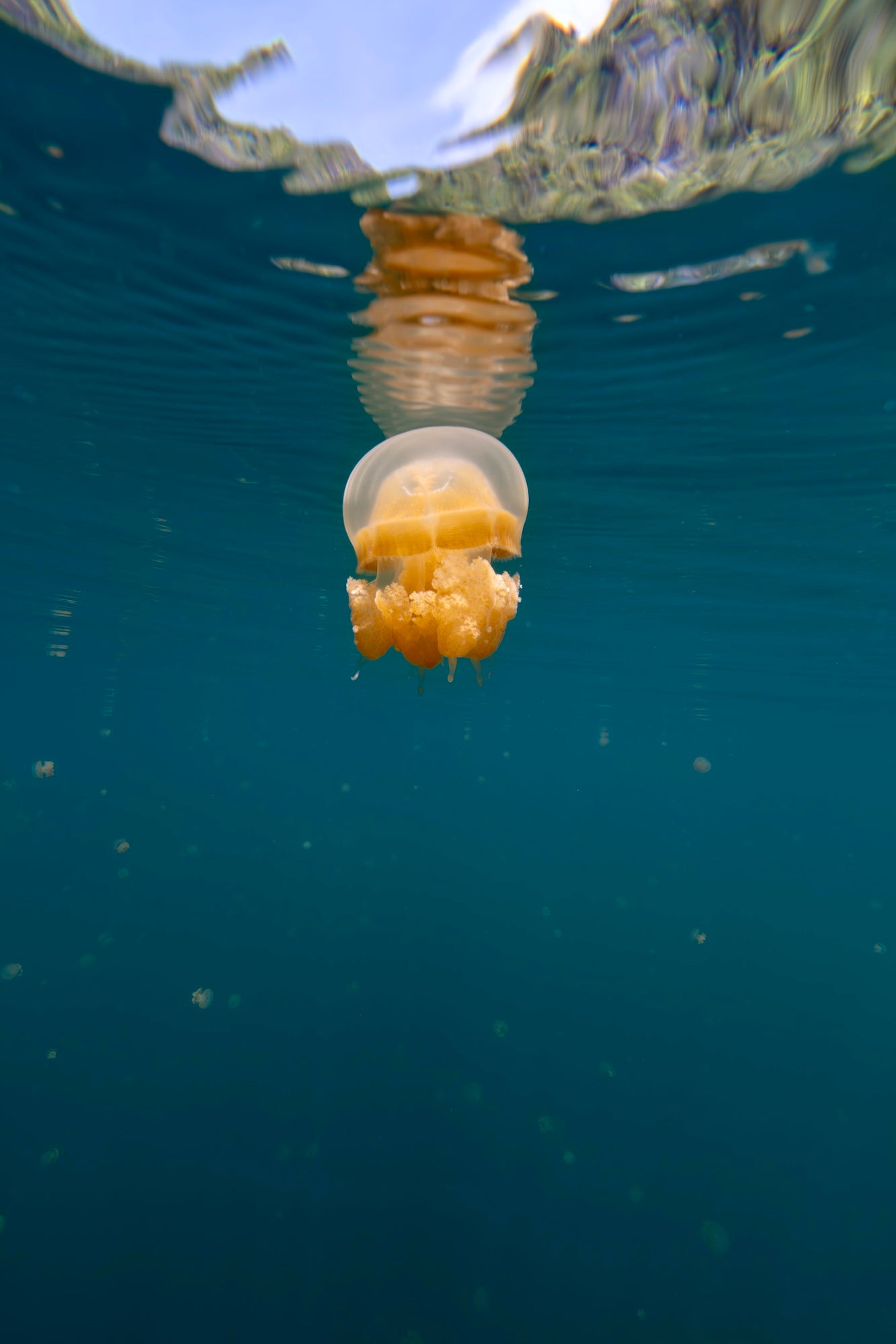 Photo by Allegra Hutton. Sony Alpha 7R V. Sony 14mm f/1.8 G Master. 1/125-sec., f/11, ISO 320