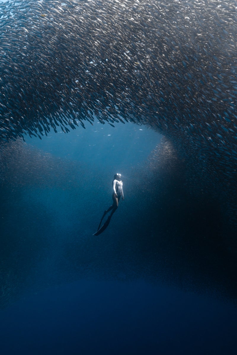 jpg/Alpha-Universe-BTS-Benjami-n-Ya-var-Sardine-Run-1200_bounds8d71iv.jpg?height=1200&fit=bounds