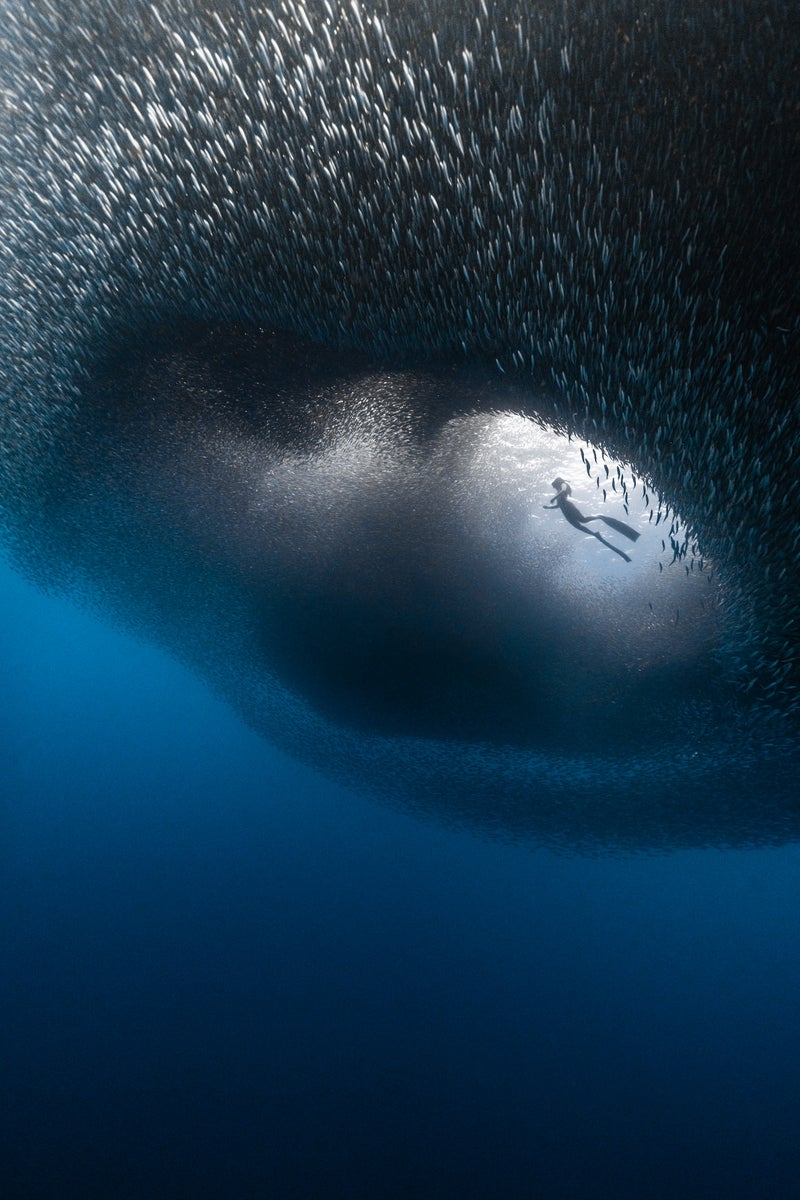 jpg/Alpha-Universe-BTS-Benjami-n-Ya-var-Sardines-World-1200_boundsxxlf6m.jpg?height=1200&fit=bounds