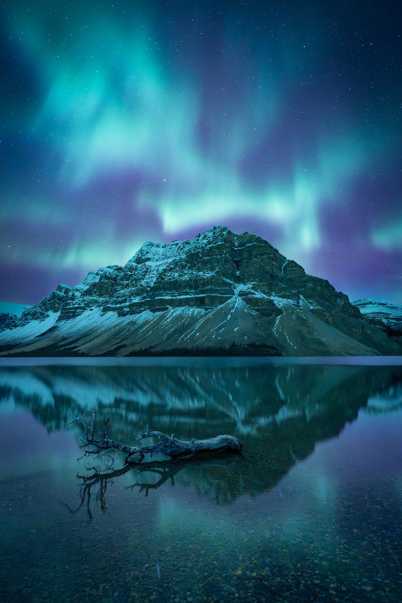 A beautiful aurora captured by Connor Snelgrove with the Alpha 7 IV in Banff National Park