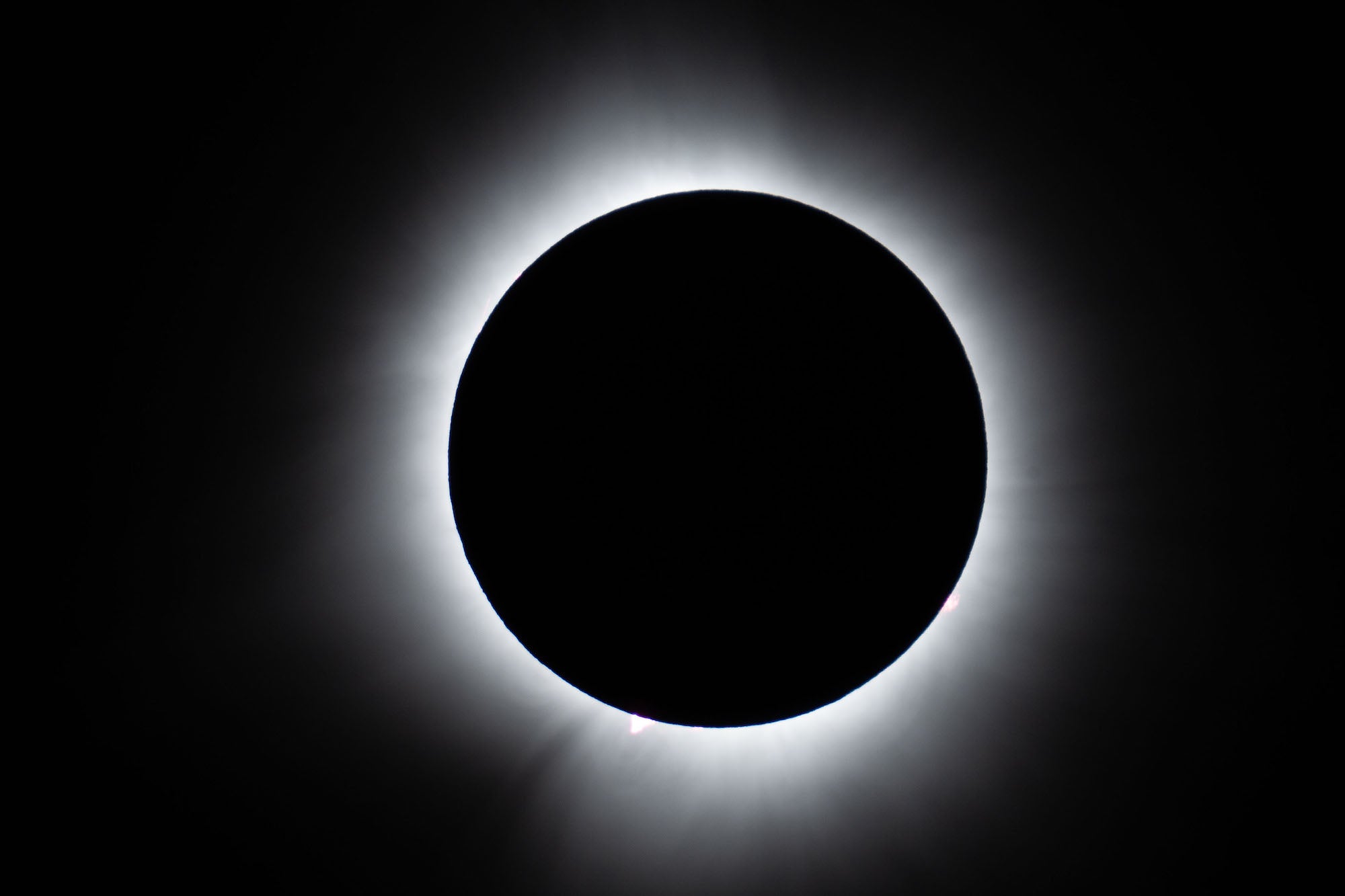 Photo by Damian Chlanda. Sony Alpha 7 IV. Sony 200-600mm f/5.6-6.3 G + 2.0x TC. 1/160-sec., f/13, ISO 500