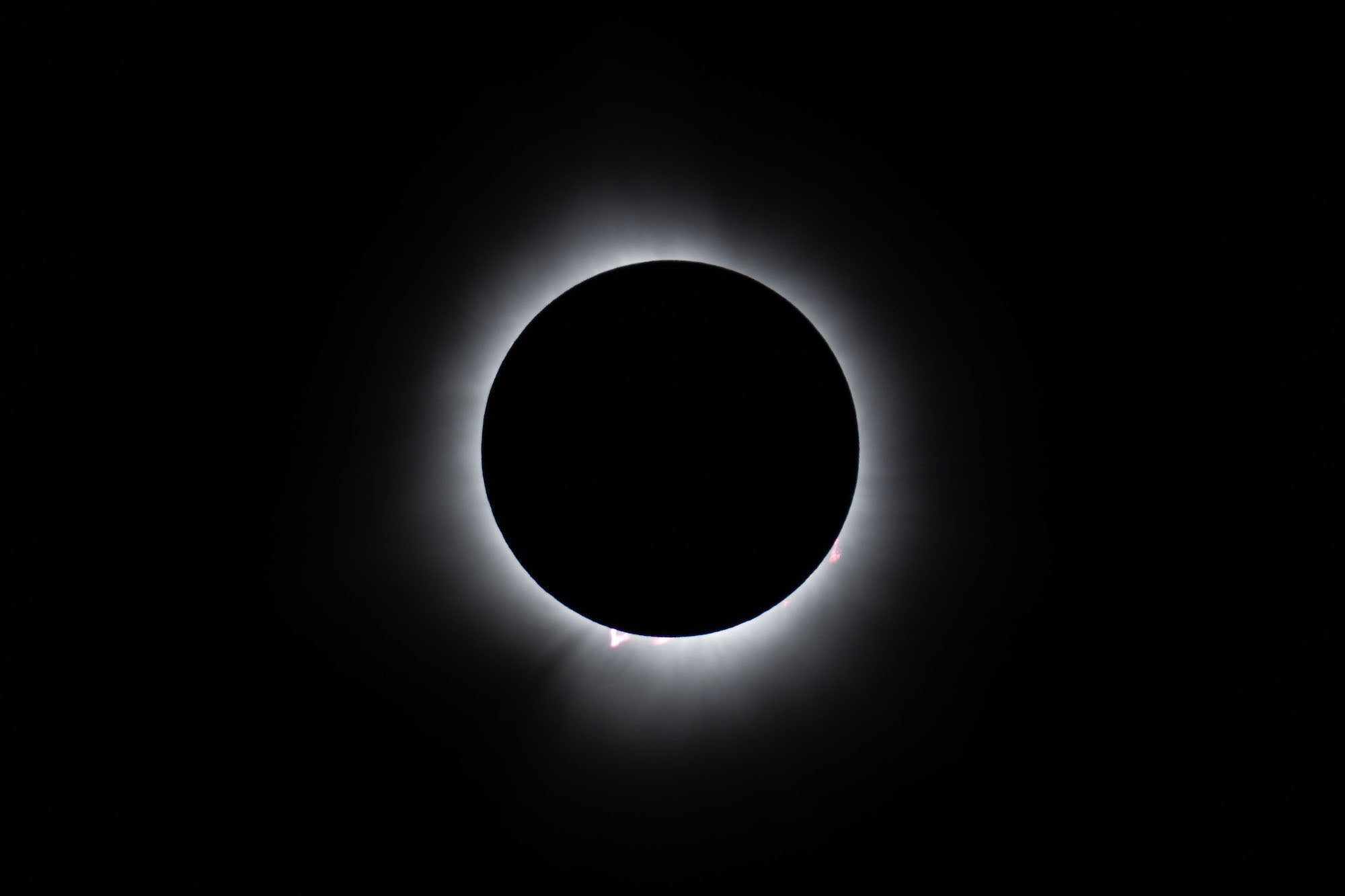 Photo by Damian Chlanda. Sony Alpha 7 IV. Sony 200-600mm f/5.6-6.3 G + 2.0x TC. 1/320-sec., f/13, ISO 500