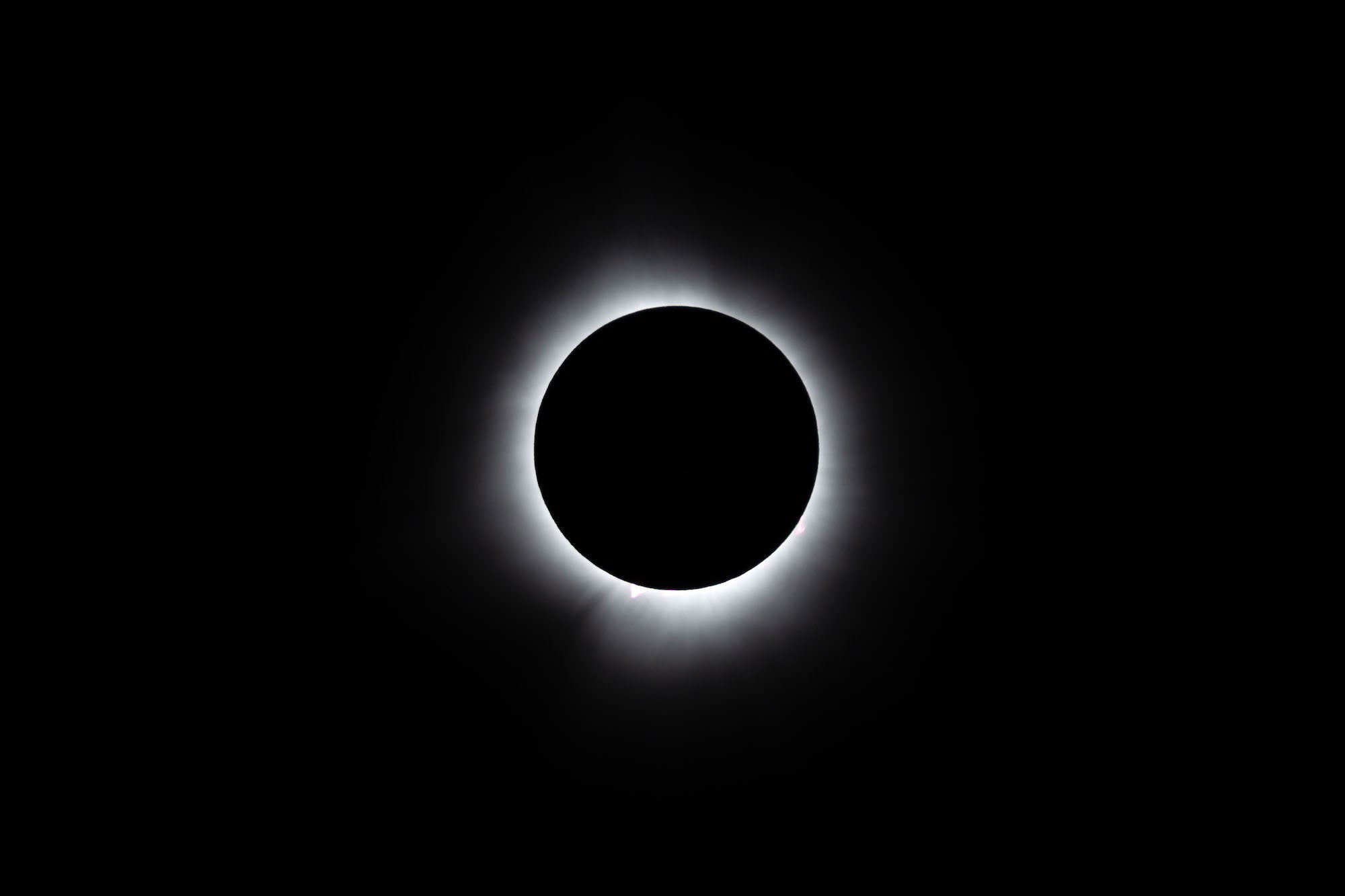 Photo by Damian Chlanda. Sony Alpha 7 IV. Sony 200-600mm f/5.6-6.3 G + 2.0x TC. 1/320-sec., f/13, ISO 500