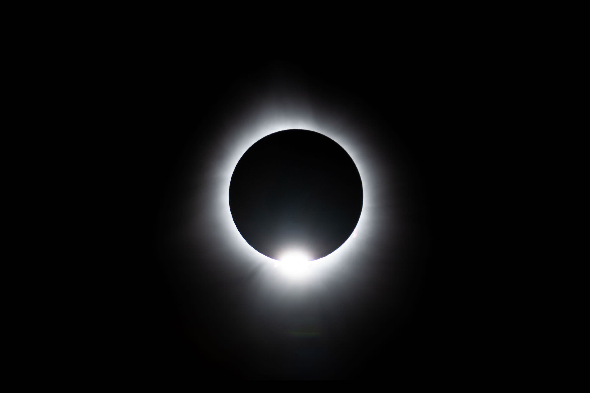 Photo by Damian Chlanda. Sony Alpha 7 IV. Sony 200-600mm f/5.6-6.3 G + 2.0x TC. 1/160-sec., f/13, ISO 500